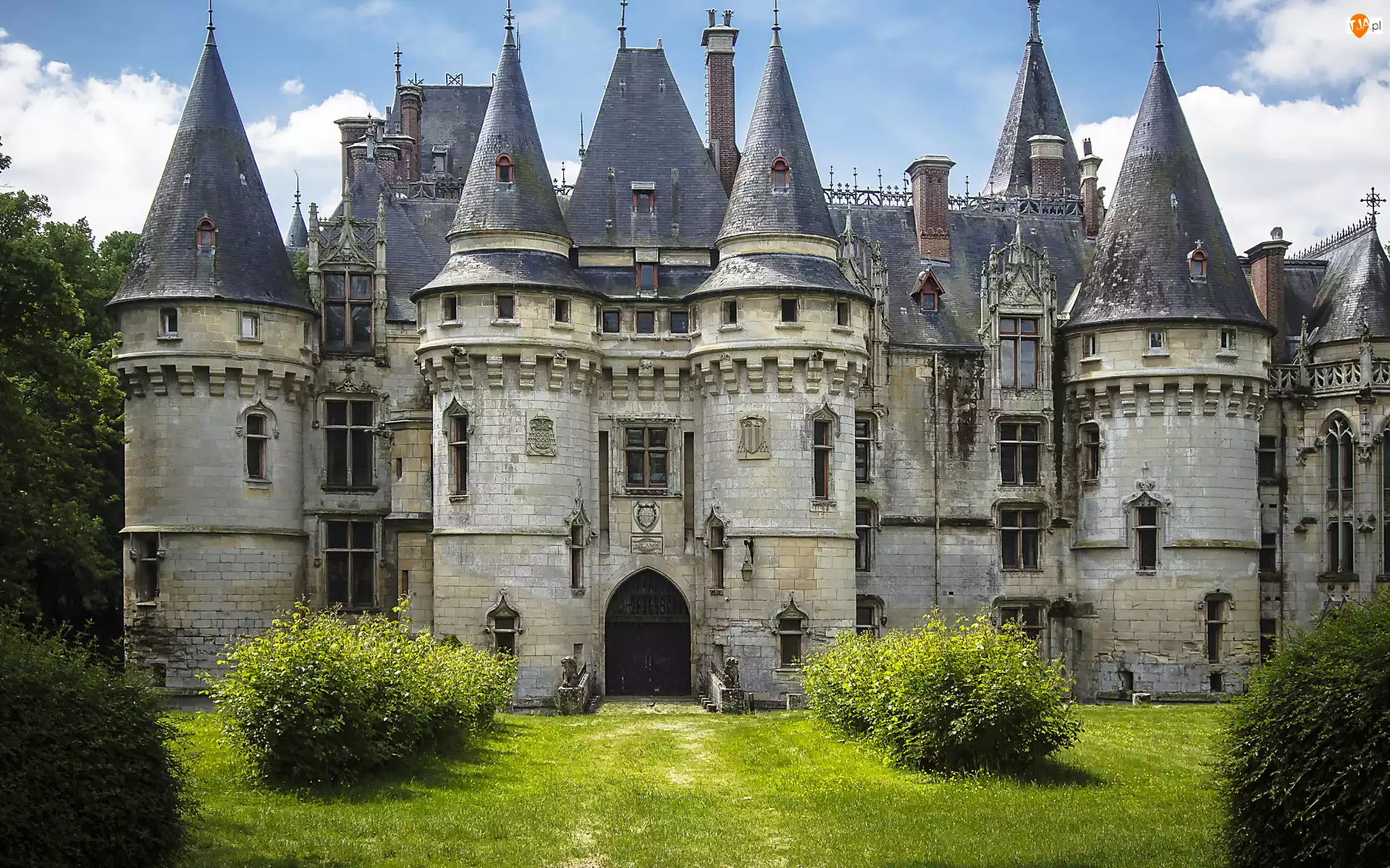 Chateau de Vigny, Zamek, Zieleń, Francja, Krzewy, Niebo