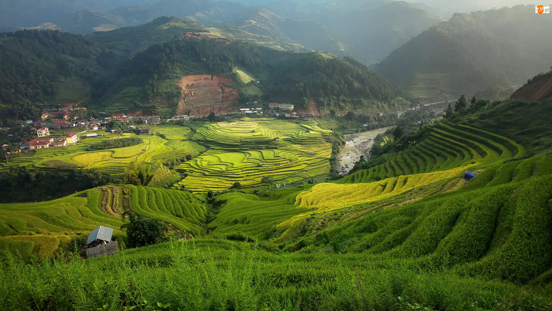 Tarasy ryżowe, Pola uprawne, Wzgórza, Wietnam, Góry, Mu Cang Chai