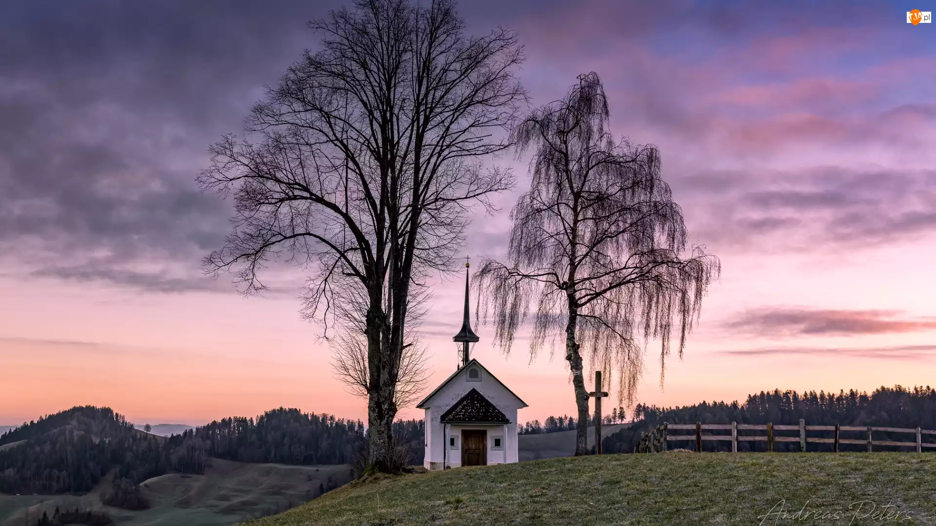 Heuberg Kapelle, Kaplica, Drzewa, Szwajcaria, Dwa, Kanton Lucerna