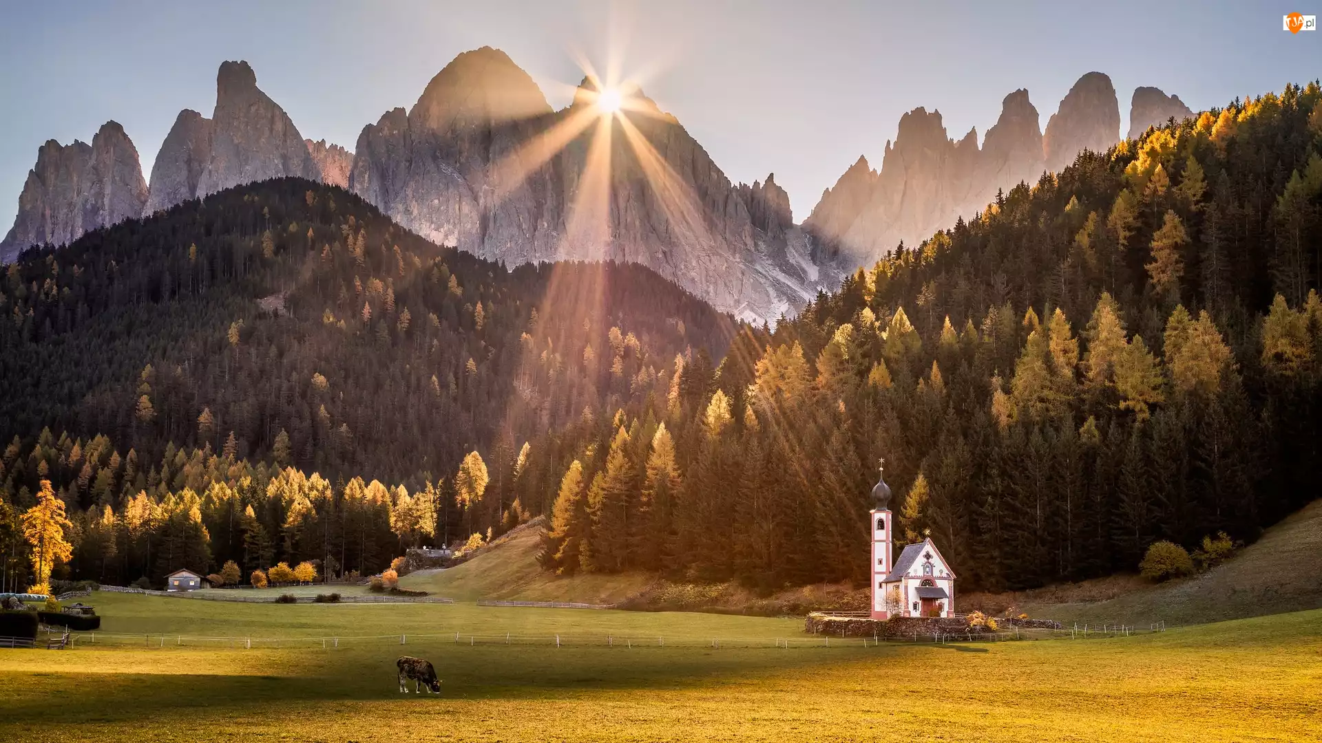 Dolomity, Wieś, Drzewa, Santa Maddalena, Południowy Tyrol, Trawa, Kościół św Jana, Włochy, Dolina Val di Funes, Góry, Promienie słońca