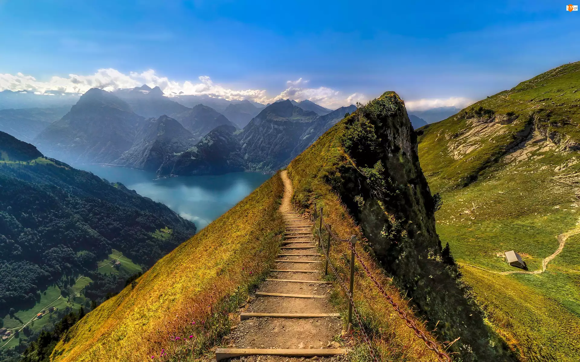 Góry, Alpy, Natura, Szwajcaria, Ścieżka, Jezioro Czterech Kantonów, Lake Lucerne