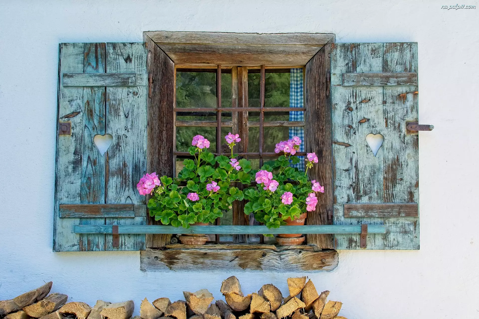 Kwiaty, Pelargonie, Okno, Dom, Parapet