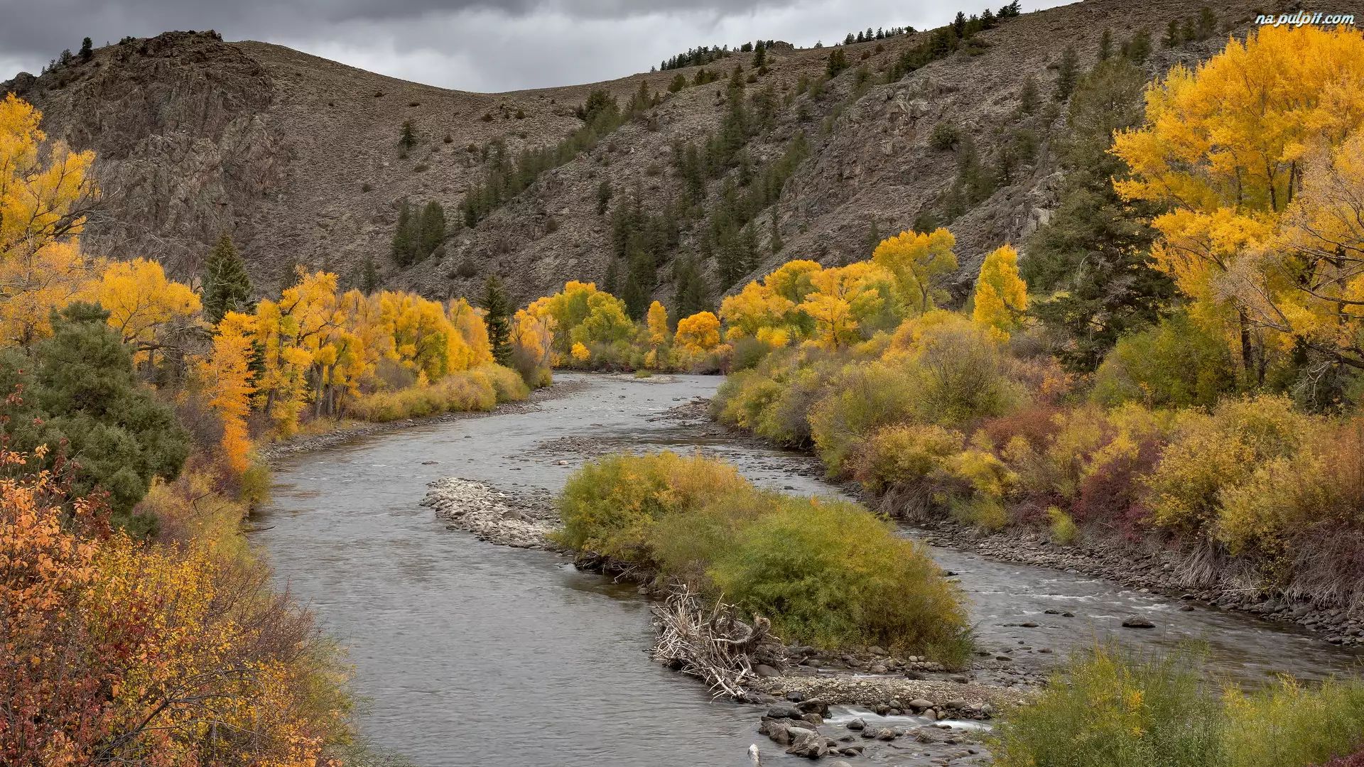 Góry, Jesień, Pożółkłe, Kolorado, Rzeka, Drzewa, Stany Zjednoczone, Gunnison River