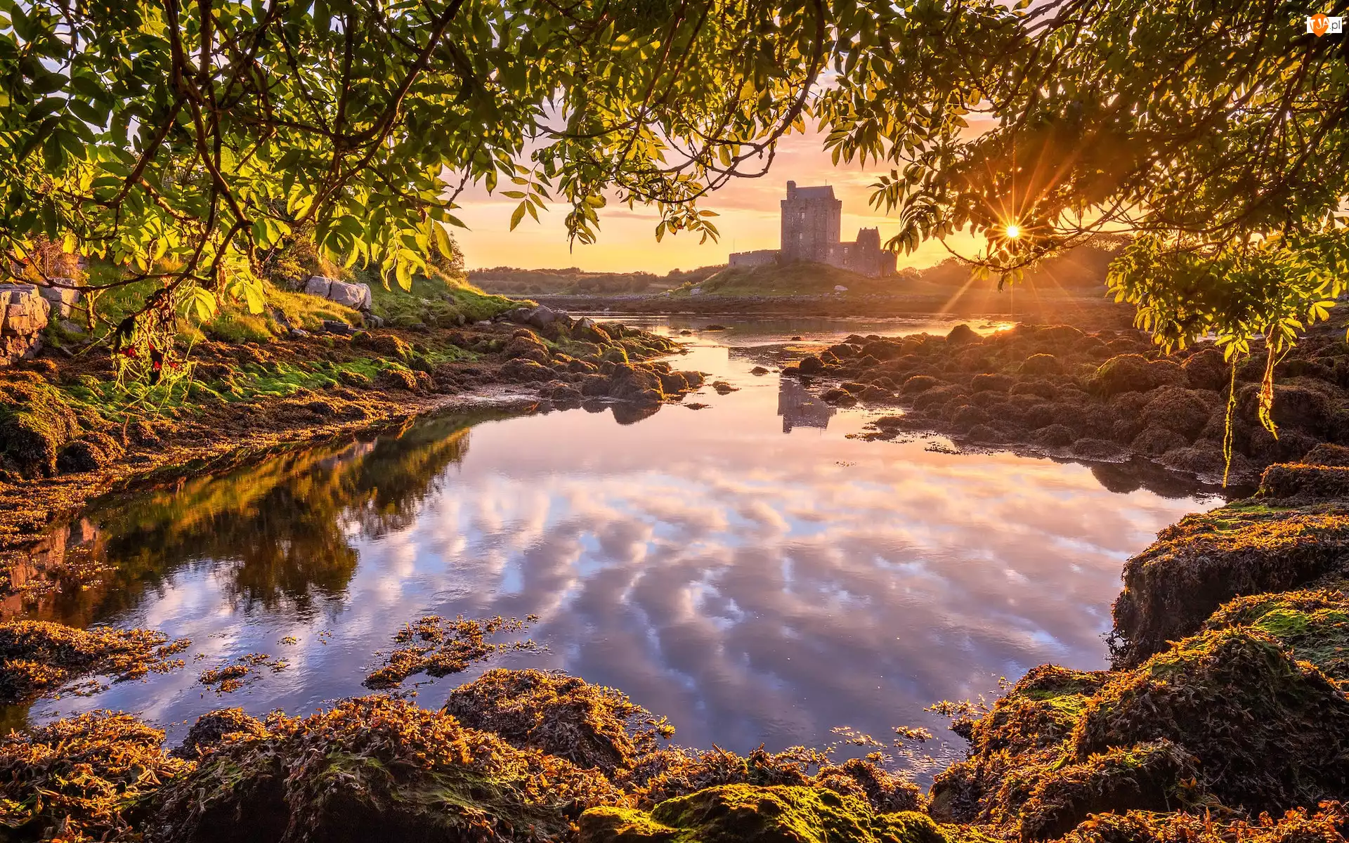 Drzewa, Irlandia, Zamek, Promienie słońca, Hrabstwo Galway, Dunguaire Castle, Zatoka Galway, Kinvara