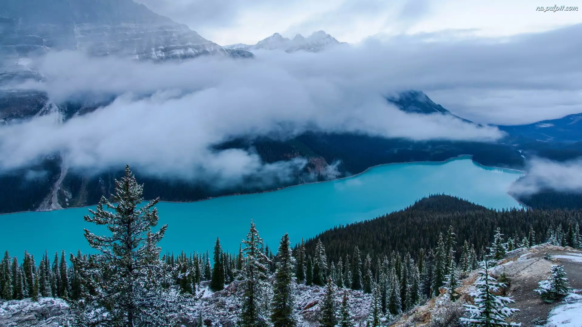 Kanada, Śnieg, Park Narodowy Banff, Drzewa, Jezioro, Góry, Opadająca, Peyto Lake, Mgła, Alberta