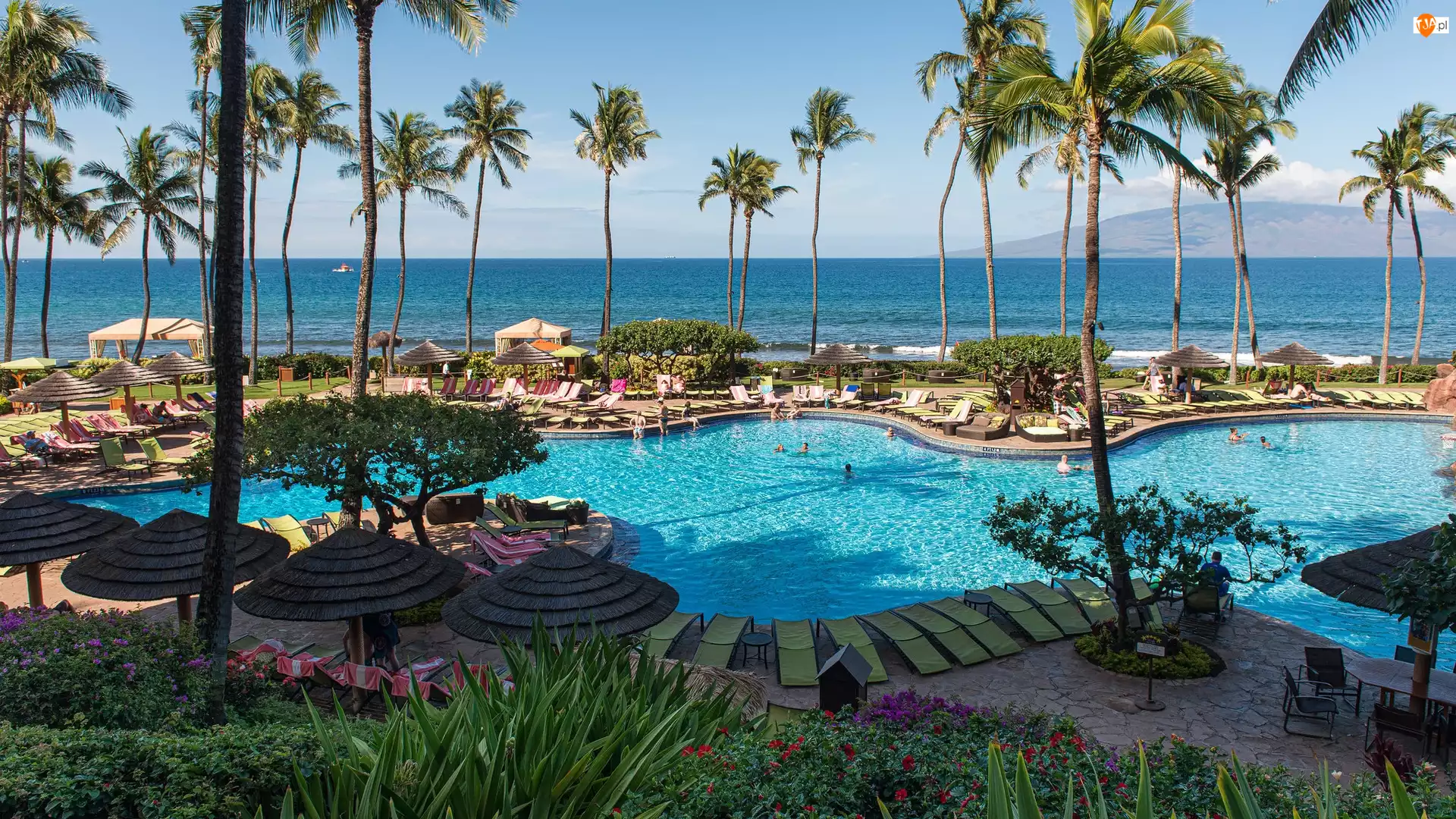 Stany Zjednoczone, Hyatt Regency Maui Resort and Spa, Maui, Hotel, Basen, Morze, Parasole, Palmy, Rośliny, Hawaje