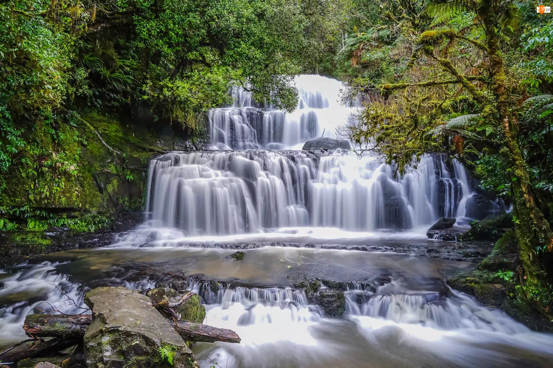 Wodospad, Purakaunui Falls, Nowa Zelandia, Las, Catlins, Skała, Drzewa