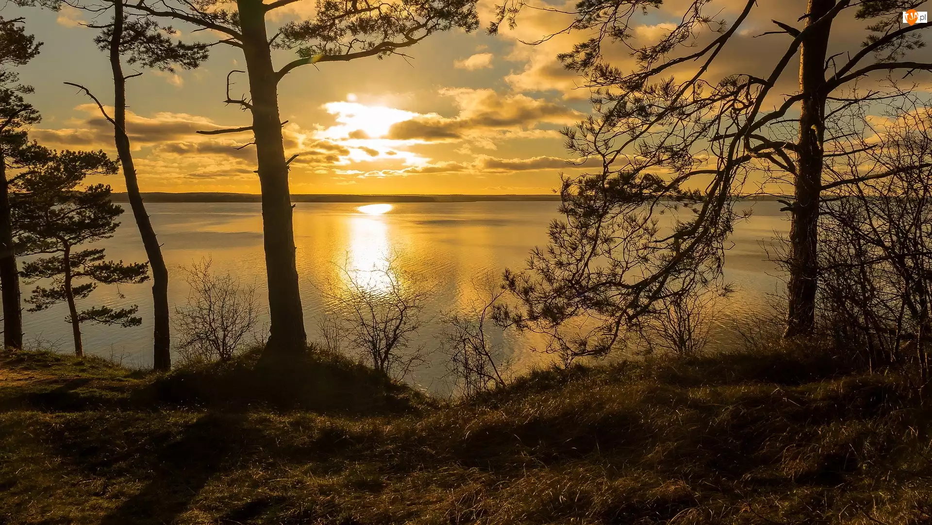 Drzewa, Zachód słońca, Morze Bałtyckie, Wyspa Uznam
