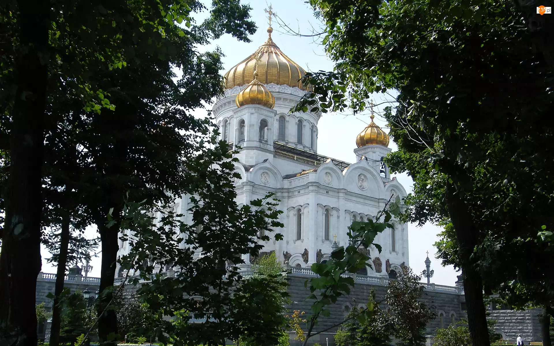 Kopuły, Drzewa, Złote, Katedra, Moskwa