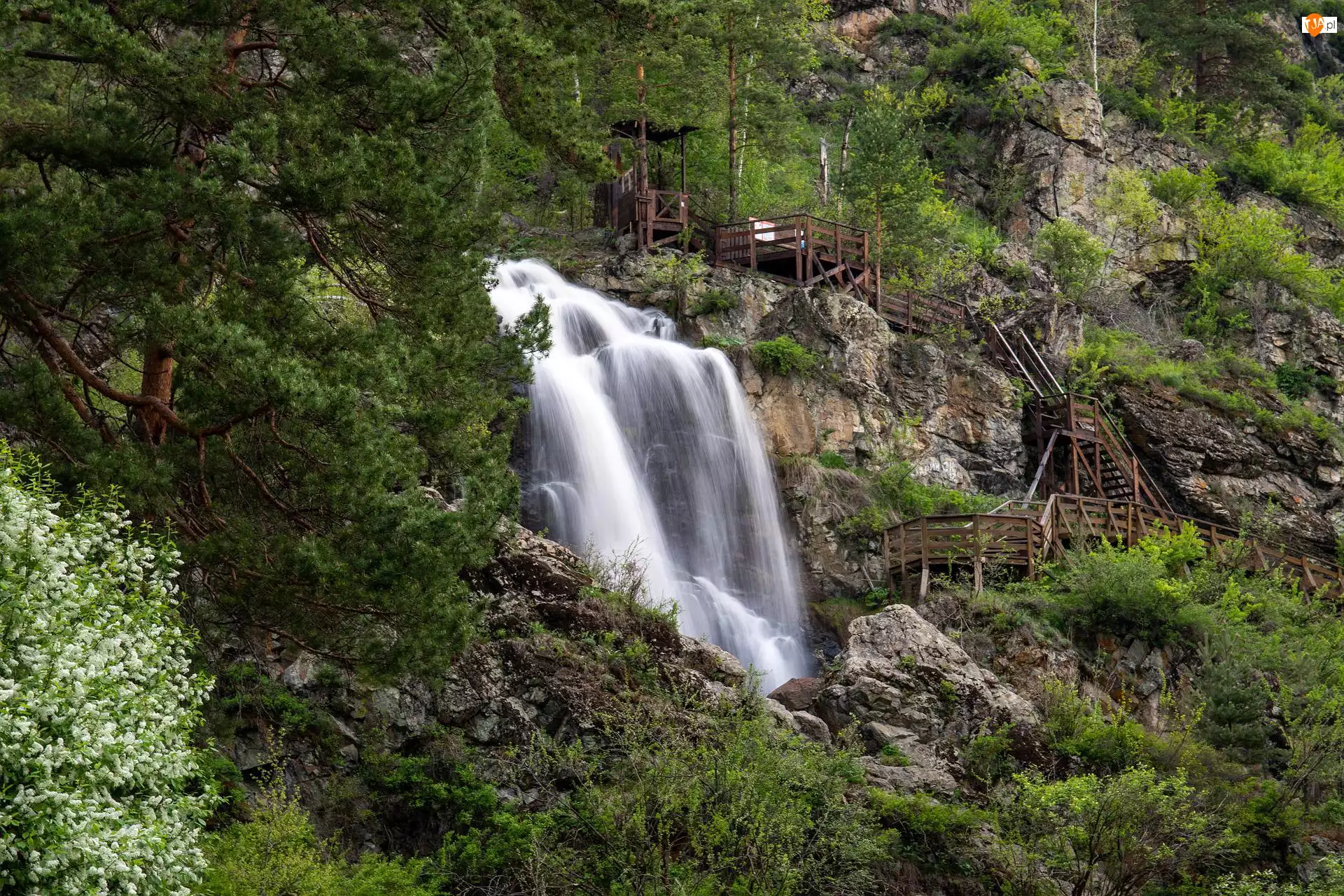 Skały, Wodospad, Drzewa, Ałtaj, Kamyshlinsky Waterfall, Schody, Rosja, Skały