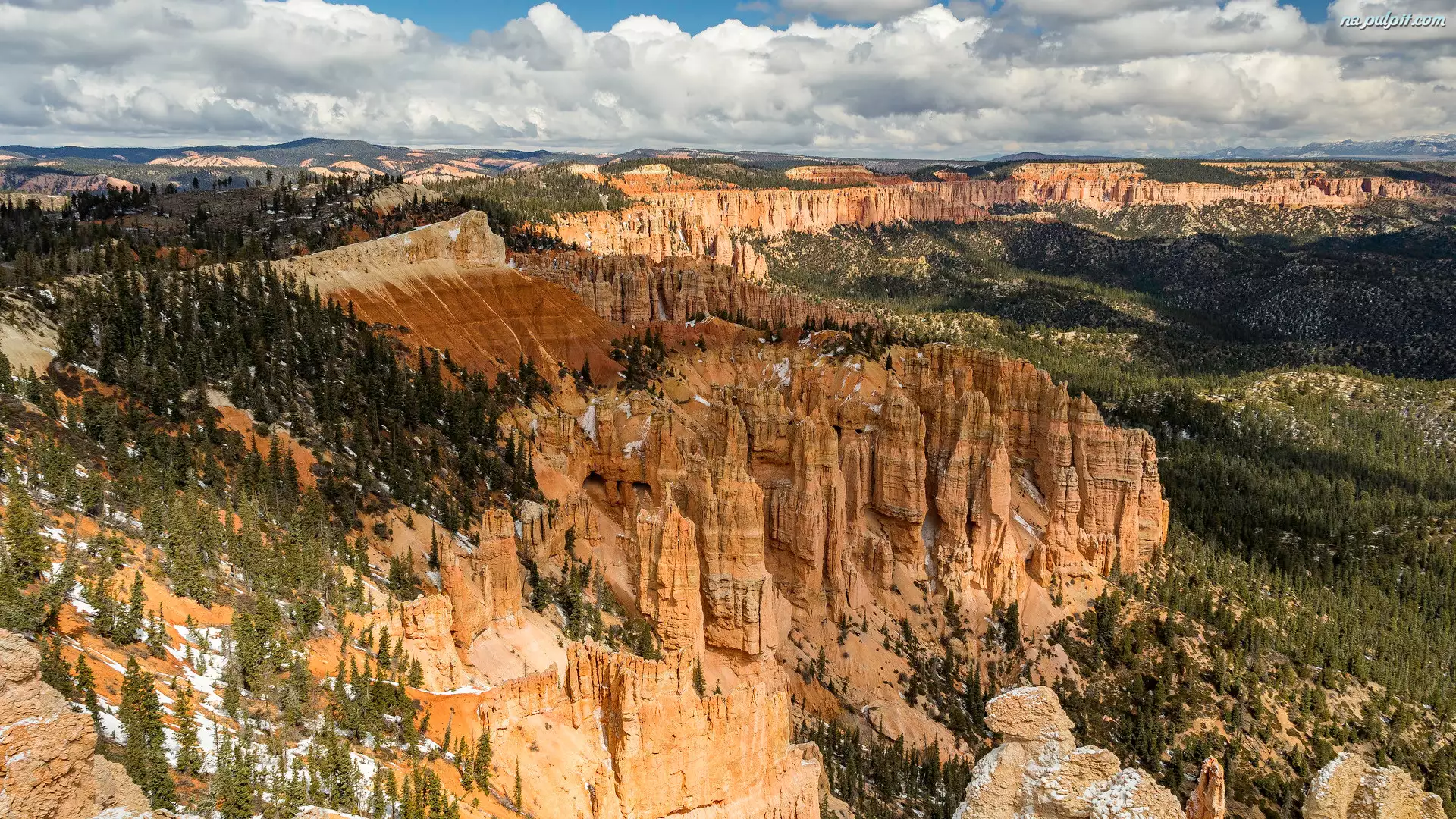 Drzewa, Skały, Park Narodowy Bryce Canyon, Stany Zjednoczone, Kanion, Utah