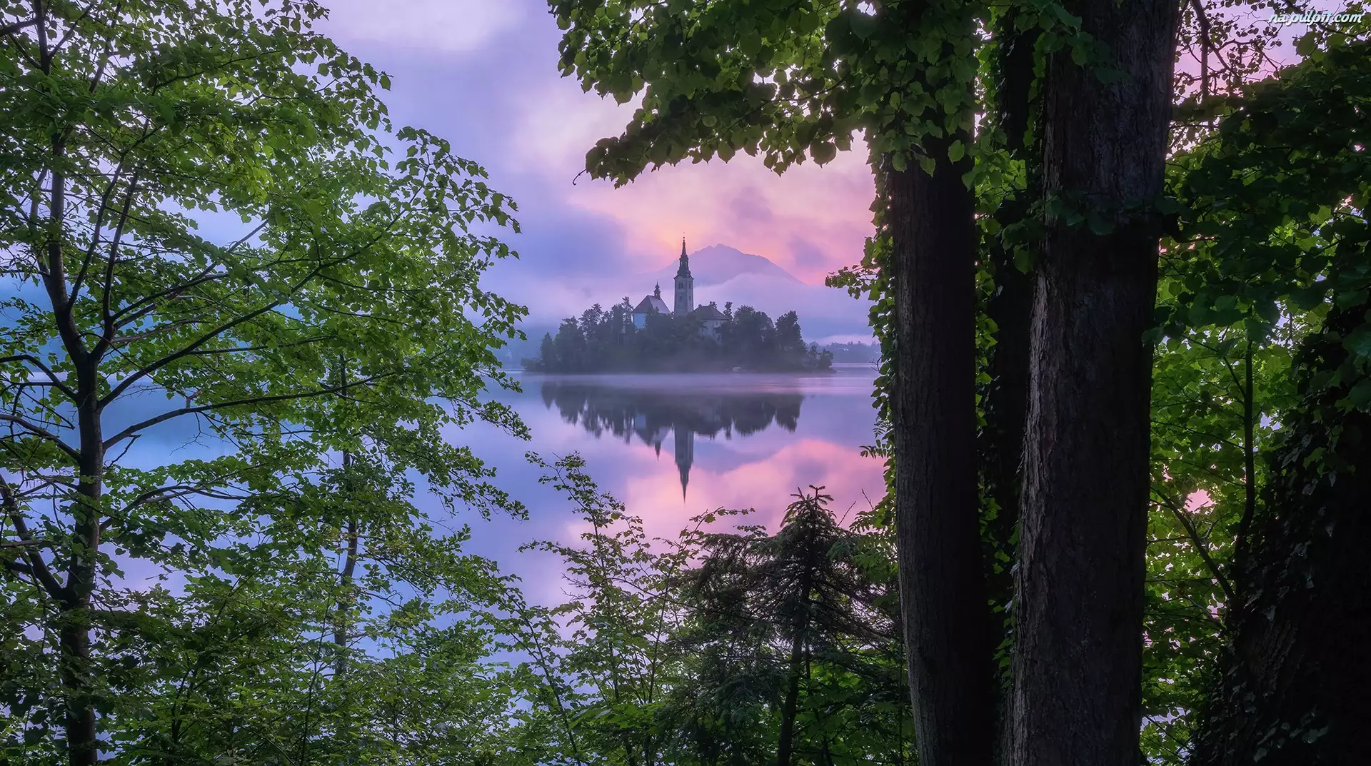 Jezioro Bled, Słowenia, Blejski Otok, Drzewa, Wysepka, Kościół