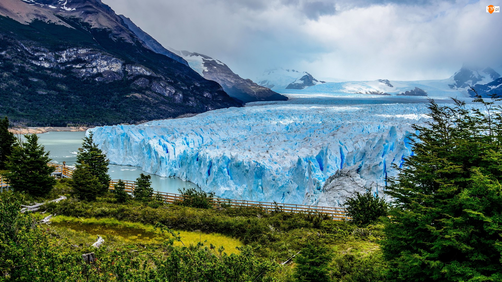 Argentyna, Perito Moreno, Prowincja Santa Cruz, Drzewa, Park Narodowy Los Glaciares, Jezioro, Lago Argentino, Lodowiec, Góry