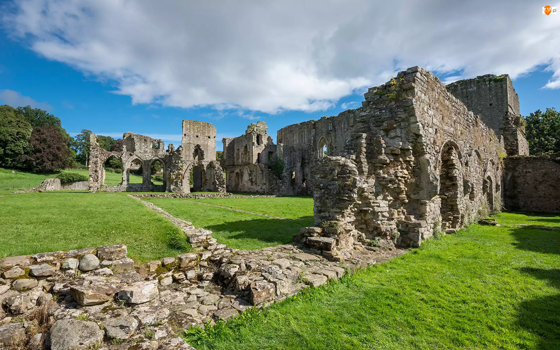Ruiny, Easby Abbey, Richmondshire, Anglia, Opactwo
