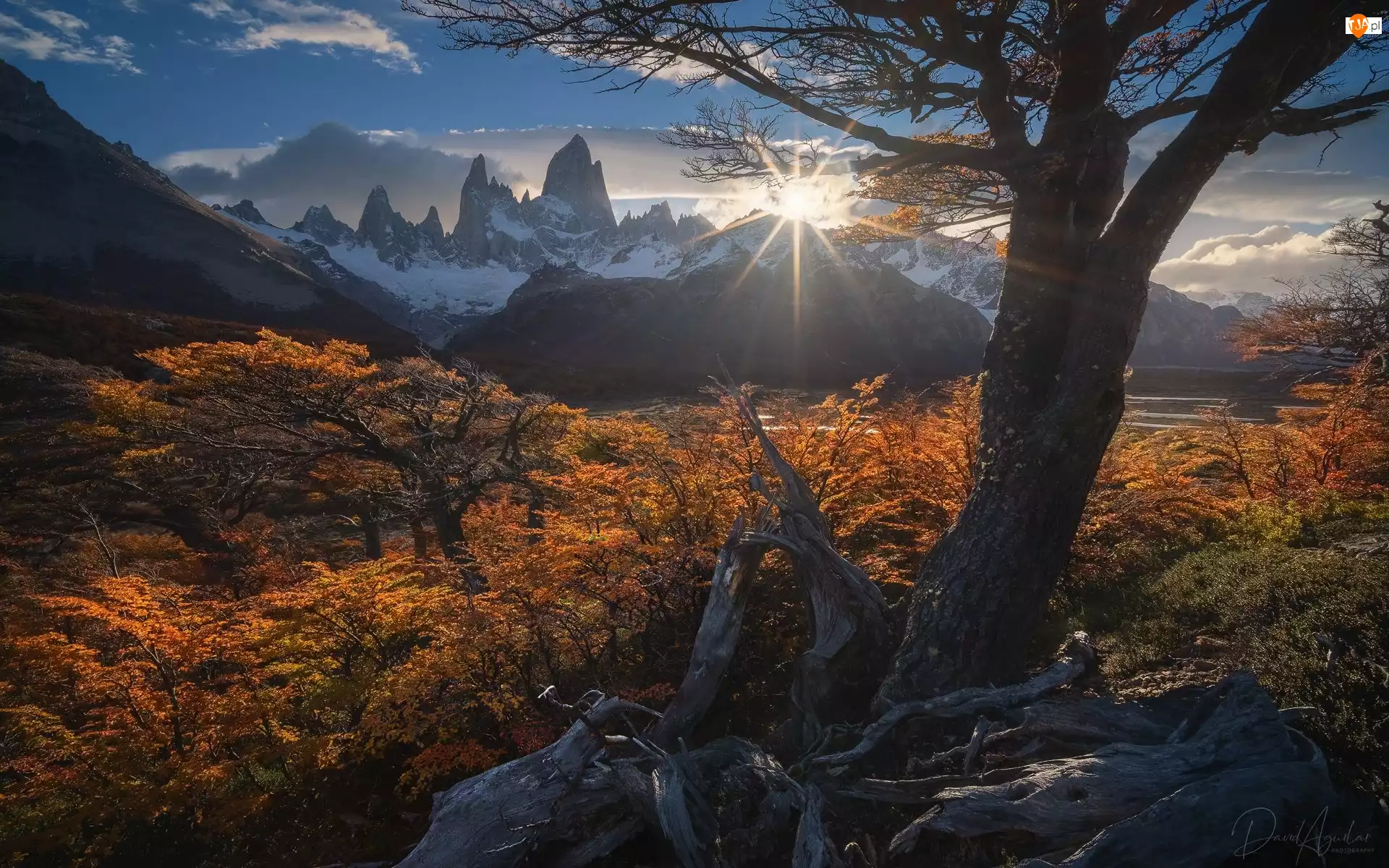 Park Narodowy Los Glaciares, Góry, Szczyt, Jesień, Patagonia, Argentyna, Promienie słońca, Góry, Drzewa, Fitz Roy