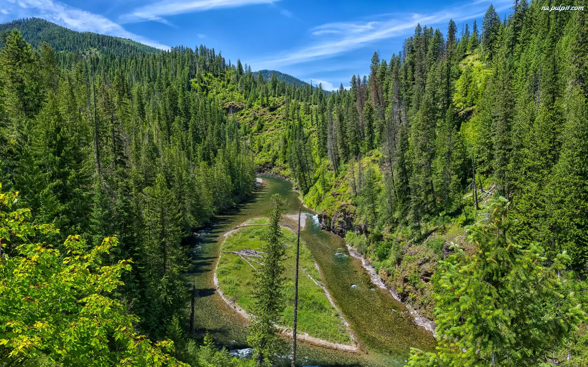 Saint Joe River, Góry, Las, Idaho, Drzewa, Rzeka, Stany Zjednoczone, Zielony