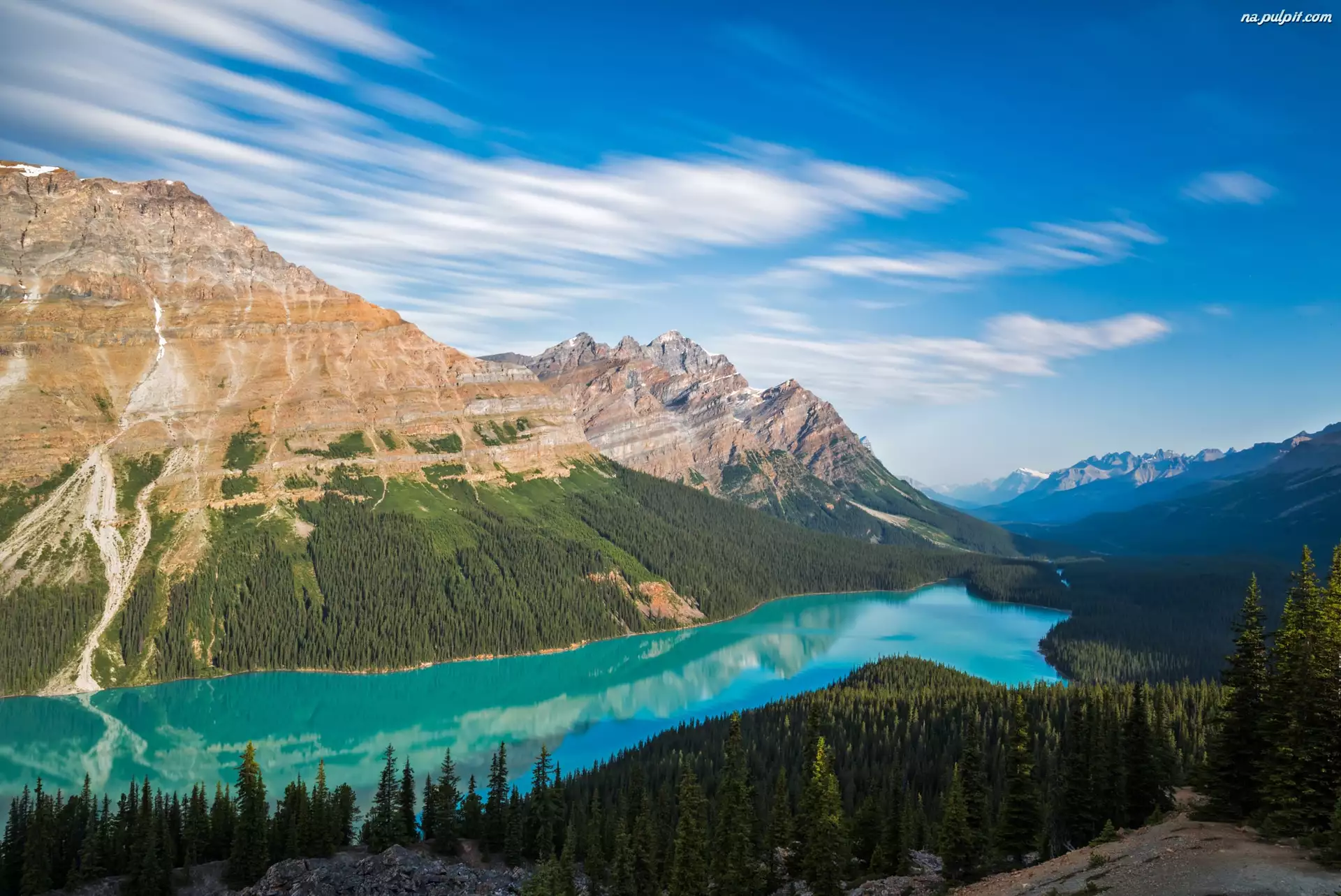 Jezioro, Peyto Lake, Kanada, Park Narodowy Banff, Alberta, Lasy, Góry