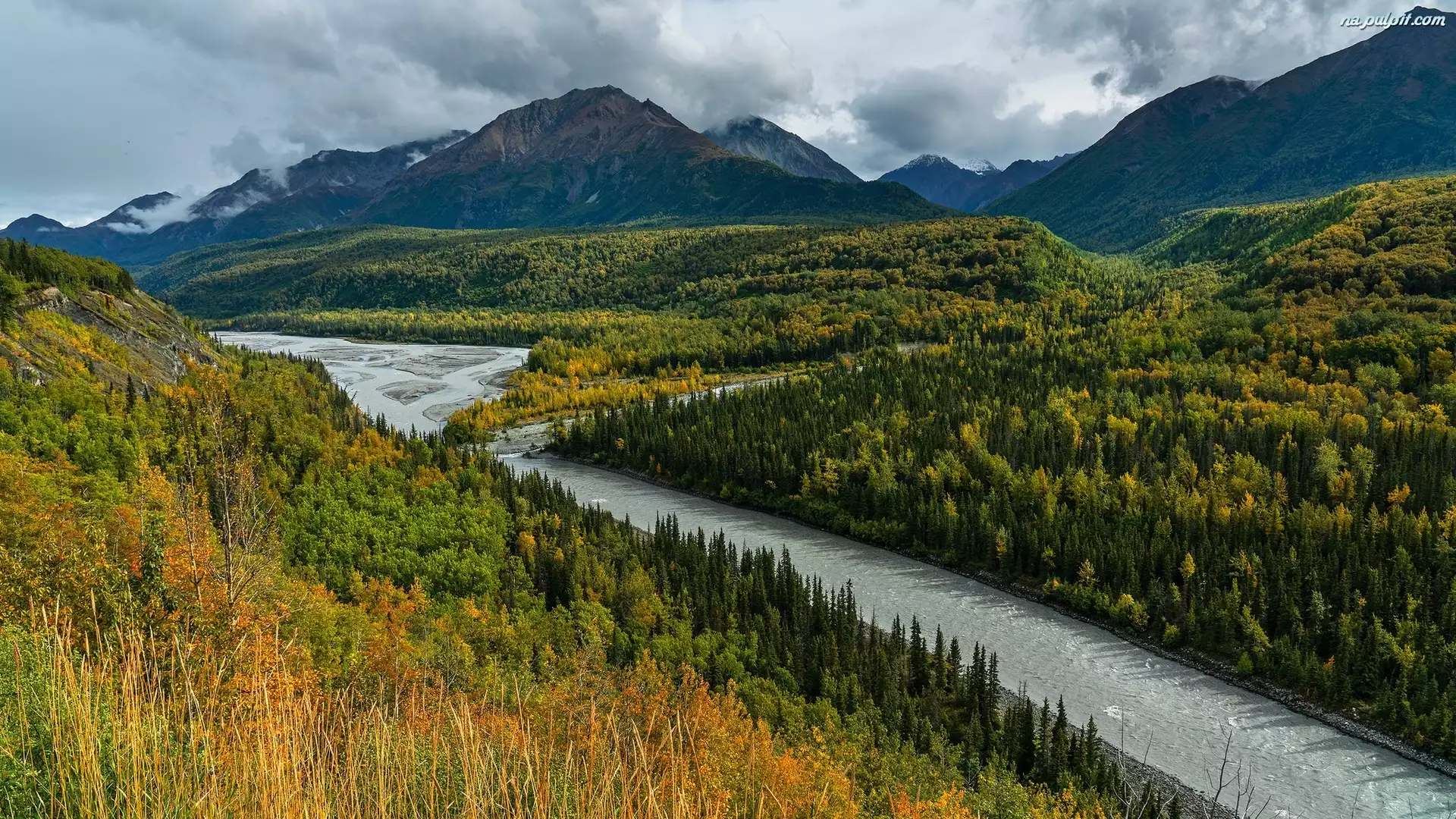 Chickaloon, Góry, Matanuska River, Alaska, Chugach Mountains, Drzewa, Stany Zjednoczone, Rzeka