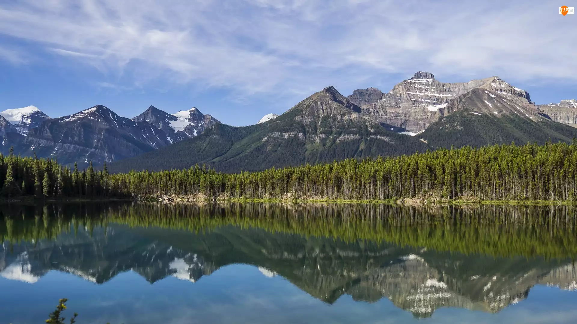 Jezioro, Herbert Lake, Kanada, Góry, Alberta, Odbicie, Drzewa
