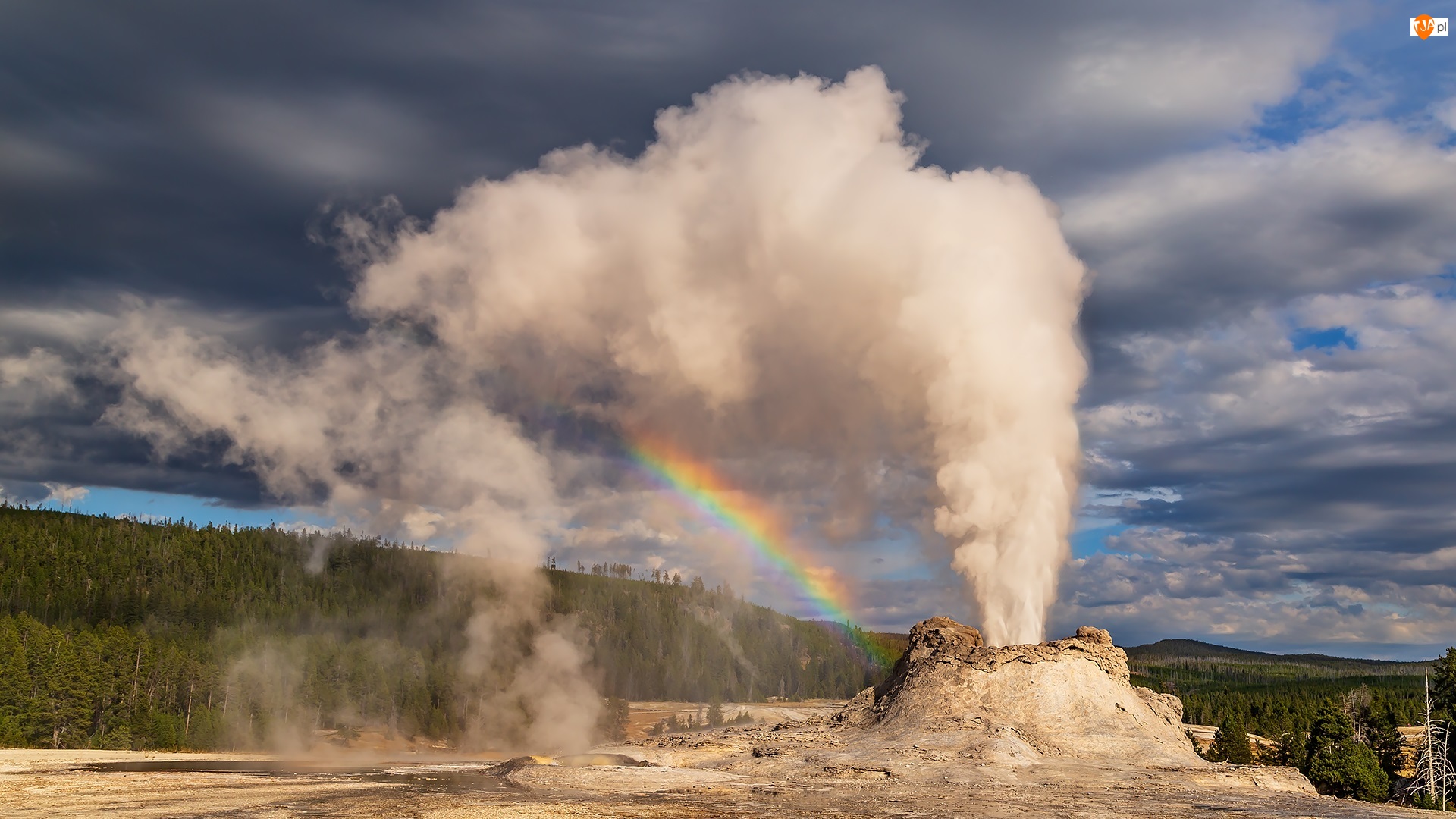 Castle Geyser, Tęcza, Stany Zjednoczone, Gejzer, Park Narodowy Yellowstone, Chmury, Las