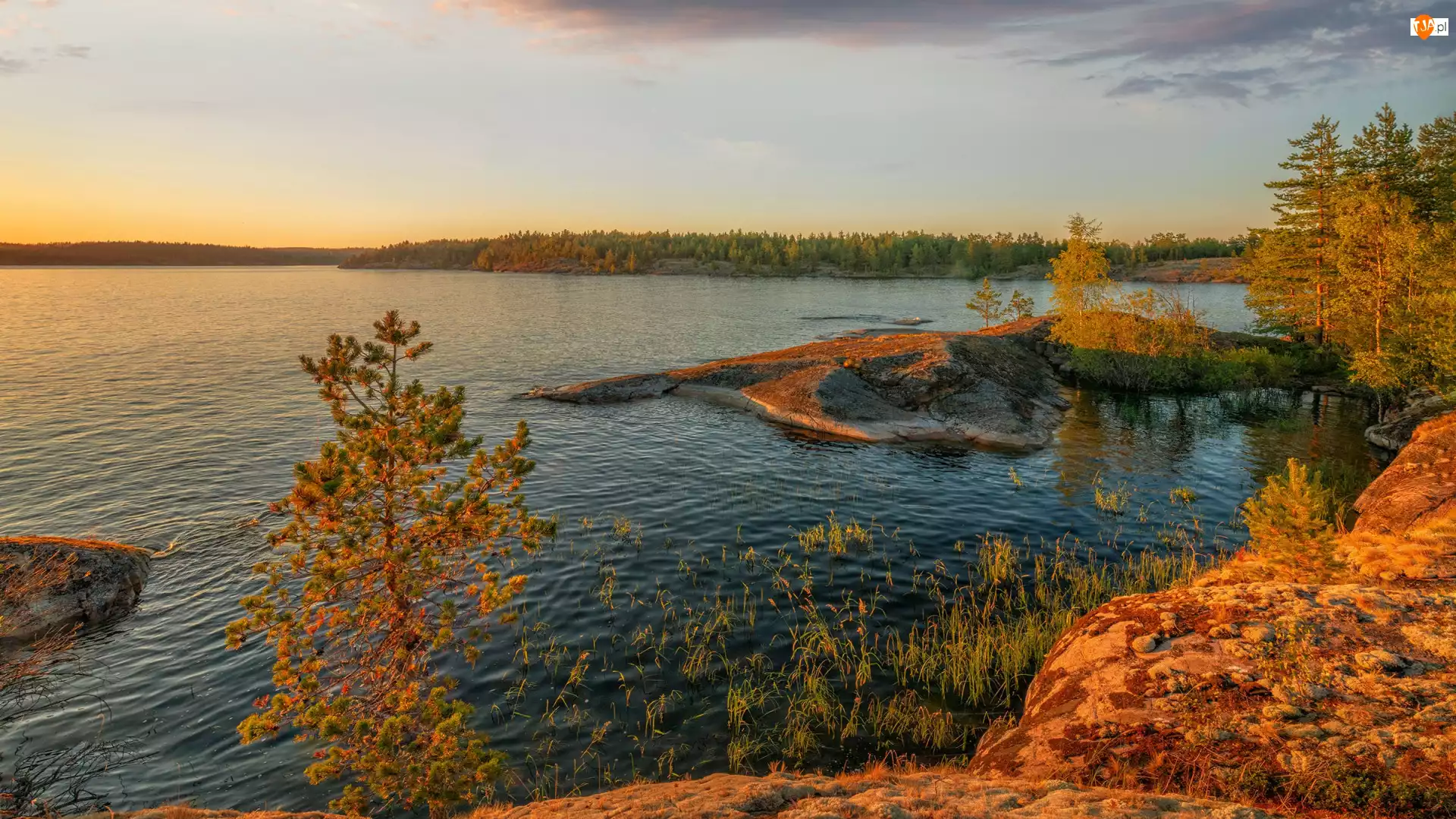 Drzewa, Jesień, Jezioro Ładoga, Rosja, Zachód słońca, Karelia