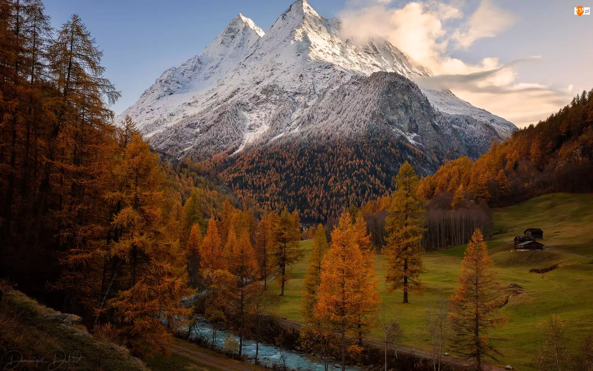 Szwajcaria, Góra, Chmury, Drzewa, Jesień, Grande Dent de Veisivi, Rzeka, Góry, Pożółkłe