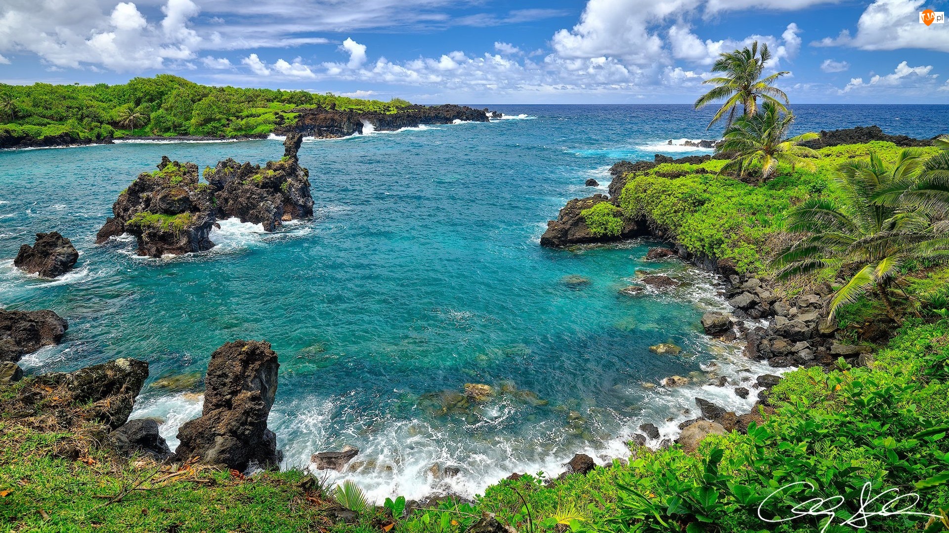 Hawaje, Wyspa Maui, Palmy, Stany Zjednoczone, Skały, Morze, Park stanowy Waianapanapa