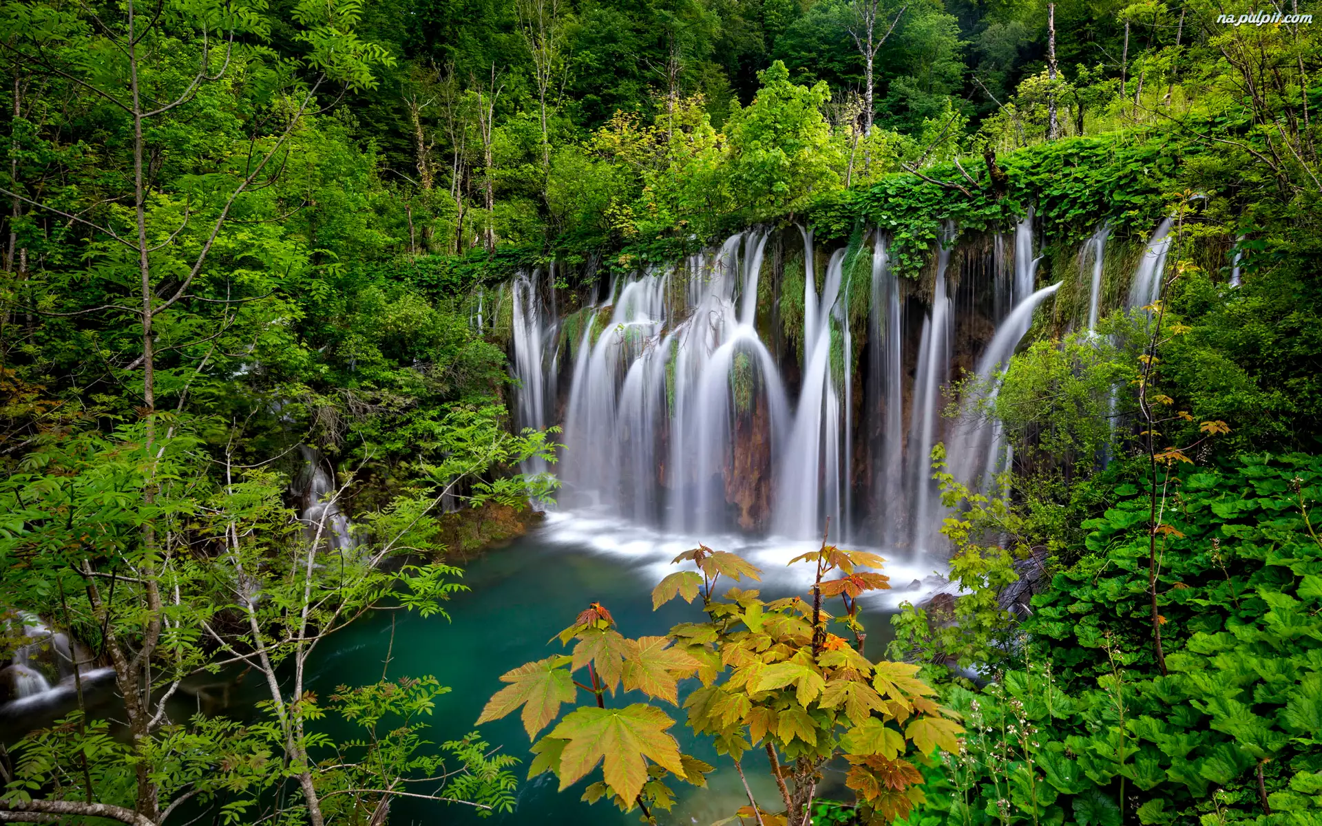 Lasy, Chorwacja, Wodospad, Park Narodowy Jezior Plitwickich, Drzewa