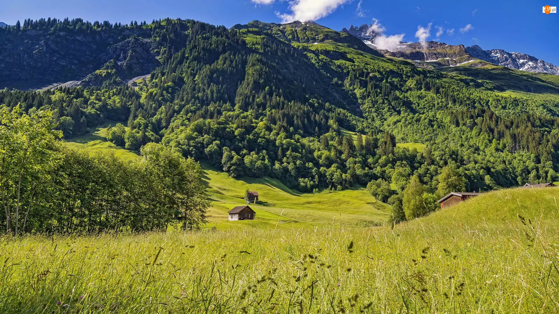 Wieś, Góry, Drzewa, Elm, Alpy Szwajcarskie, Wzgórza, Szwajcaria, Domki