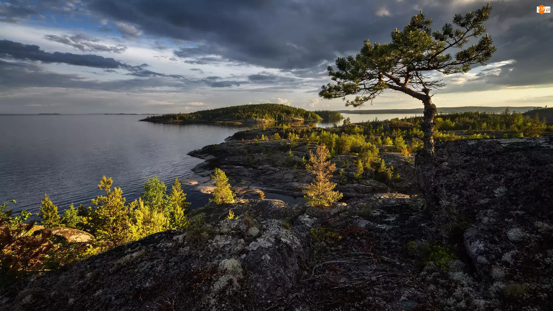 Karelia, Jezioro, Chmury, Rosja, Drzewo, Skały, Ładoga