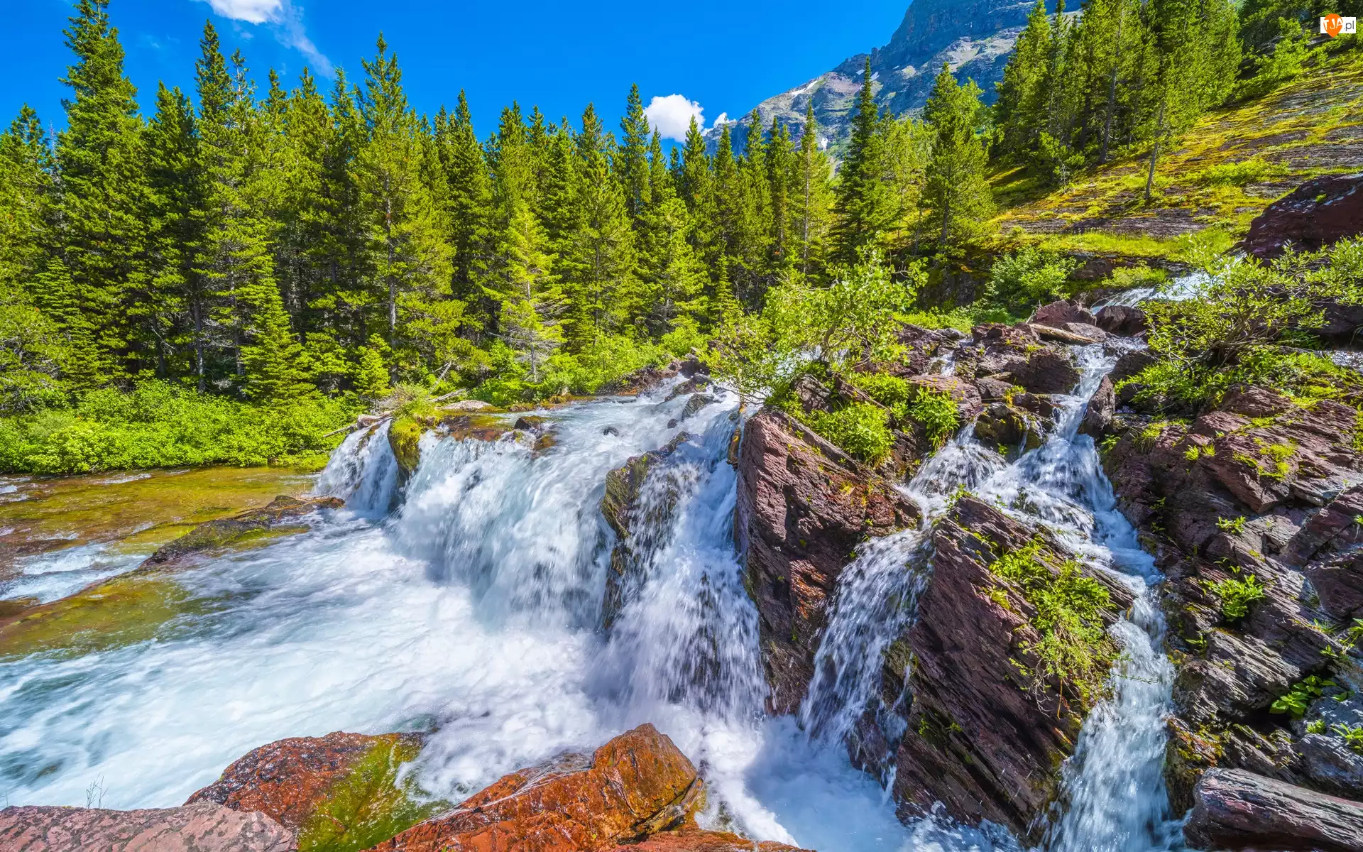Stan Montana, Park Narodowy Glacier, Kamienie, Stany Zjednoczone, Drzewa, Rzeka, Wodospad Redrock Falls