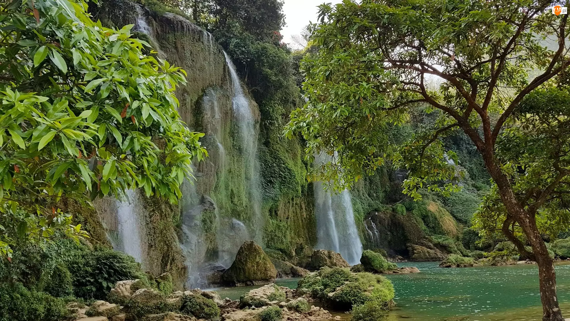 Ban Gioc Waterfall, Wietnam, Wodospad, Skały, Drzewa