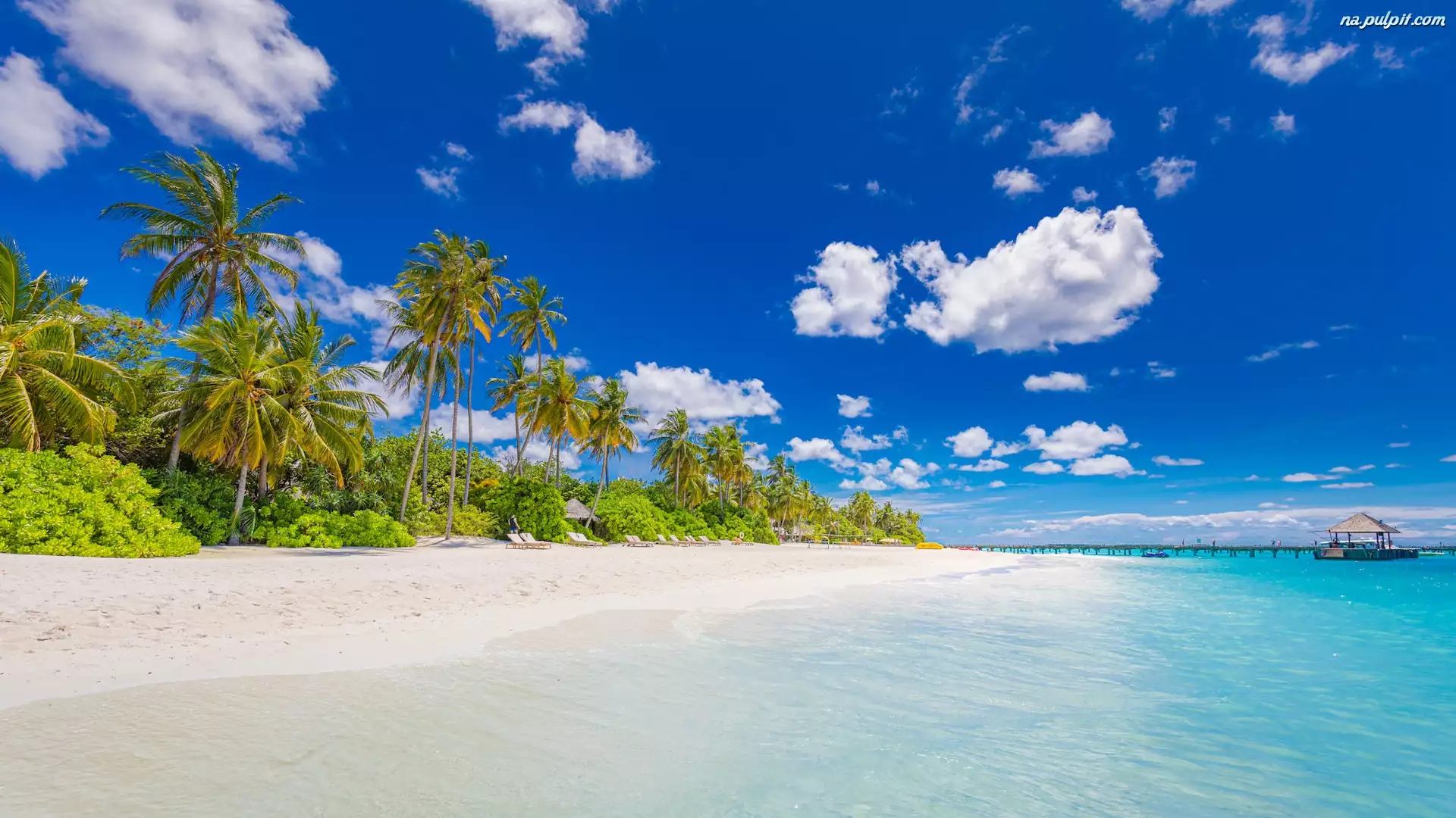 Plaża, Domek, Morze, Malediwy, Palmy