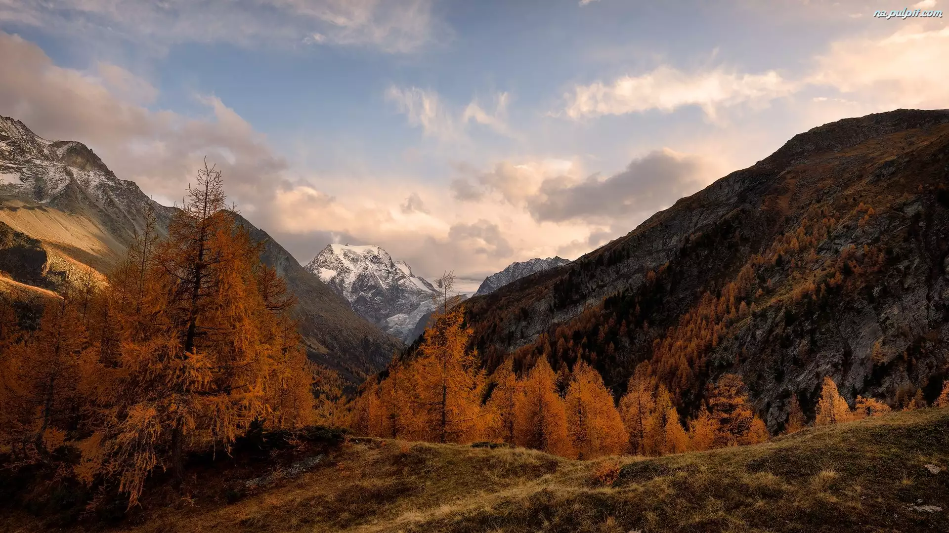 Alpy Pennińskie, Góry, Jesień, Szwajcaria, Drzewa, Chmury