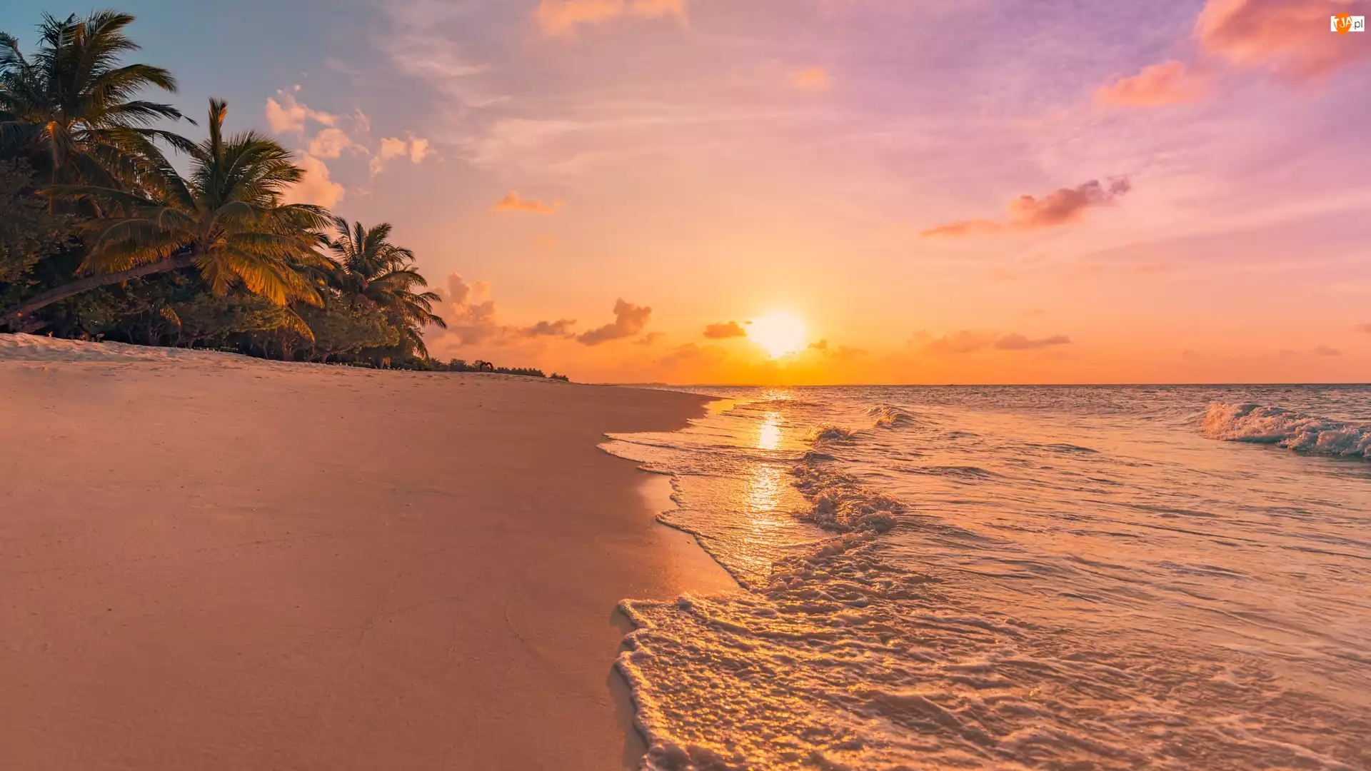 Plaża, Palmy, Morze, Malediwy, Zachód słońca