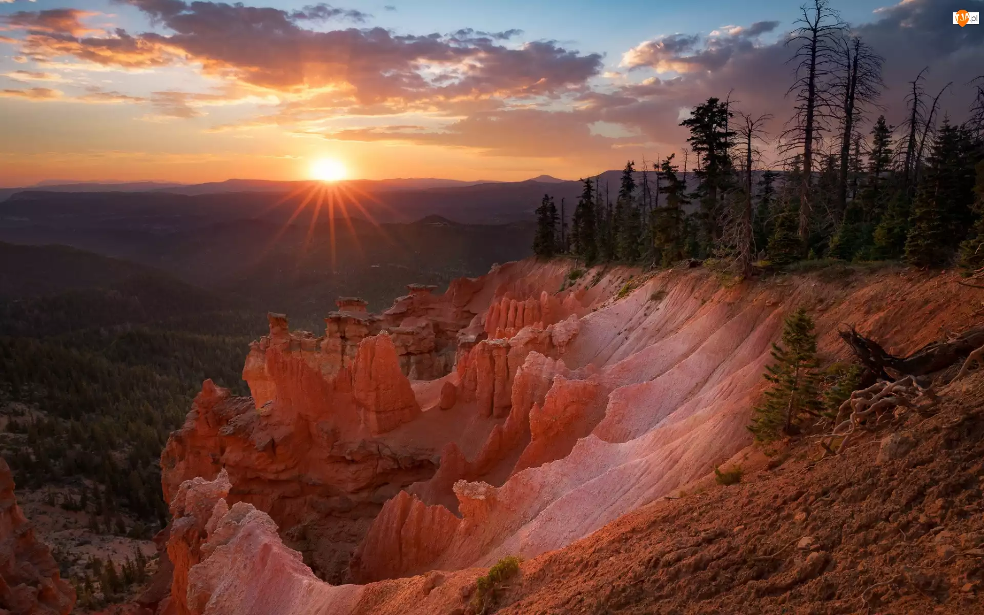 Skały, Drzewa, Stany zjednoczone, Zachód słońca, Utah, Park Narodowy Bryce Canyon, Promienie słońca