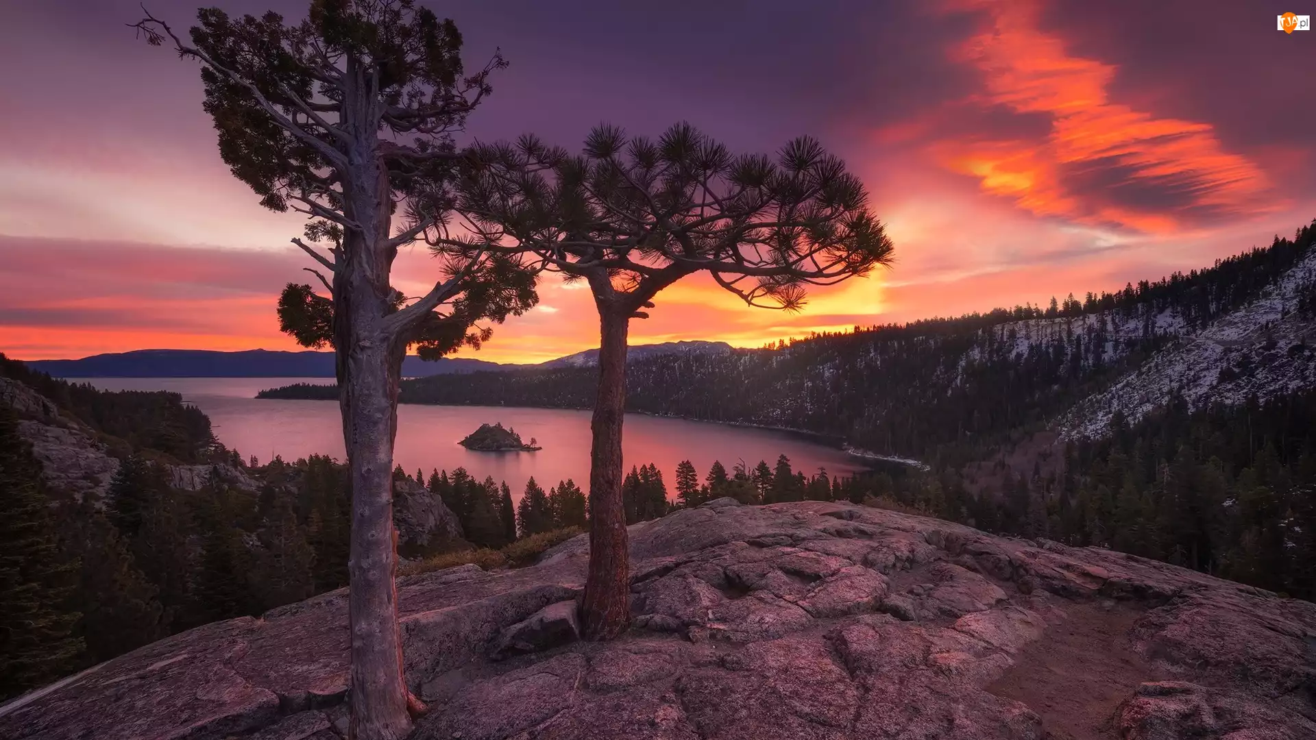 Drzewa, Jezioro, Park Emerald Bay, Kalifornia, Tahoe Lake, Lasy, Stany Zjednoczone, Wyspa Fannette