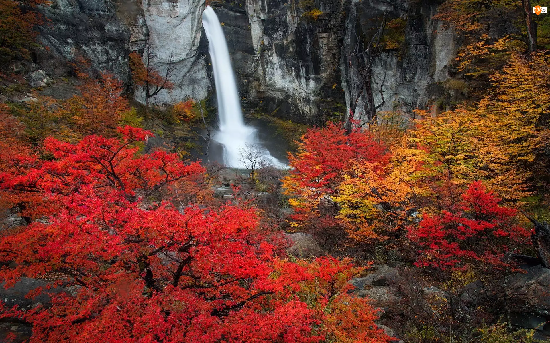 Skały, Wodospad, Kolorowe, Prowincja Santa Cruz, Chorrillo del Salto, Drzewa, Argentyna, Jesień
