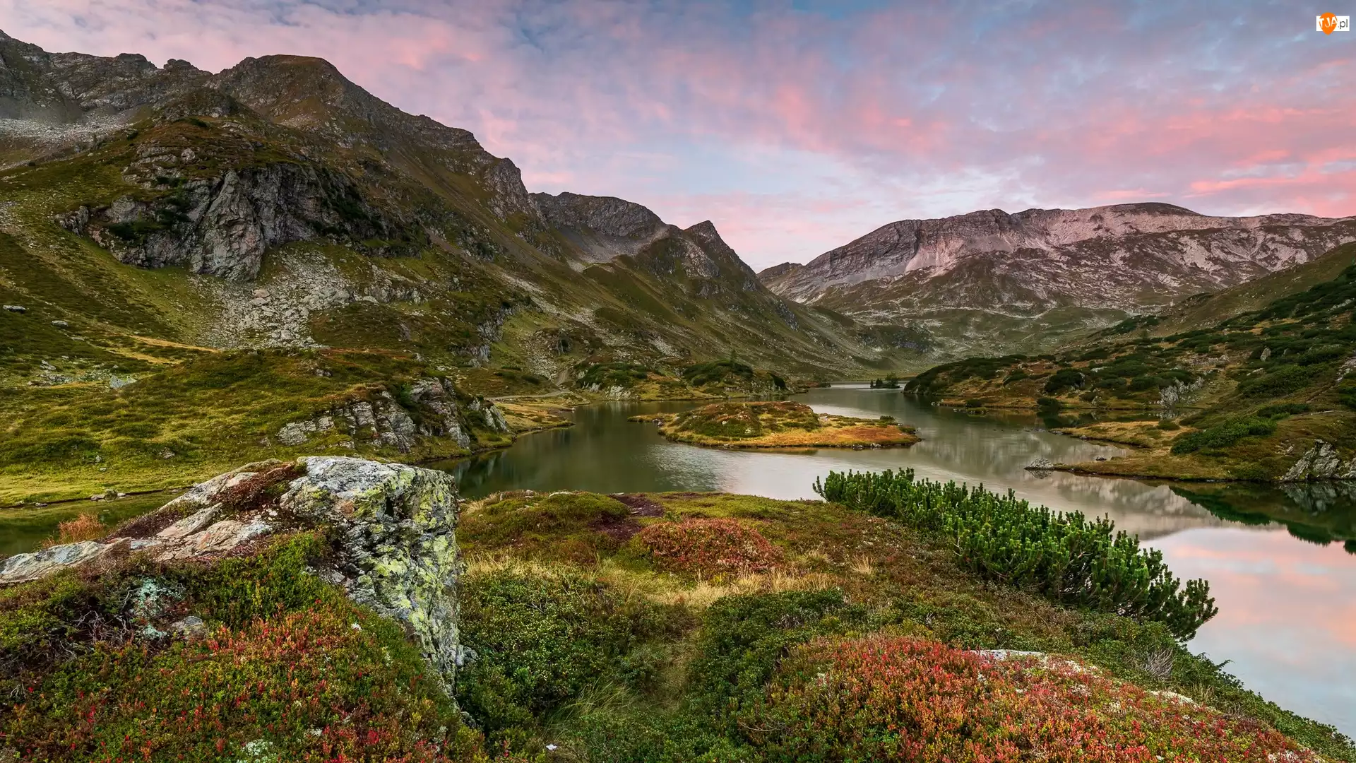 Austria, Góry, Jezioro Giglachseen, Roślinność
