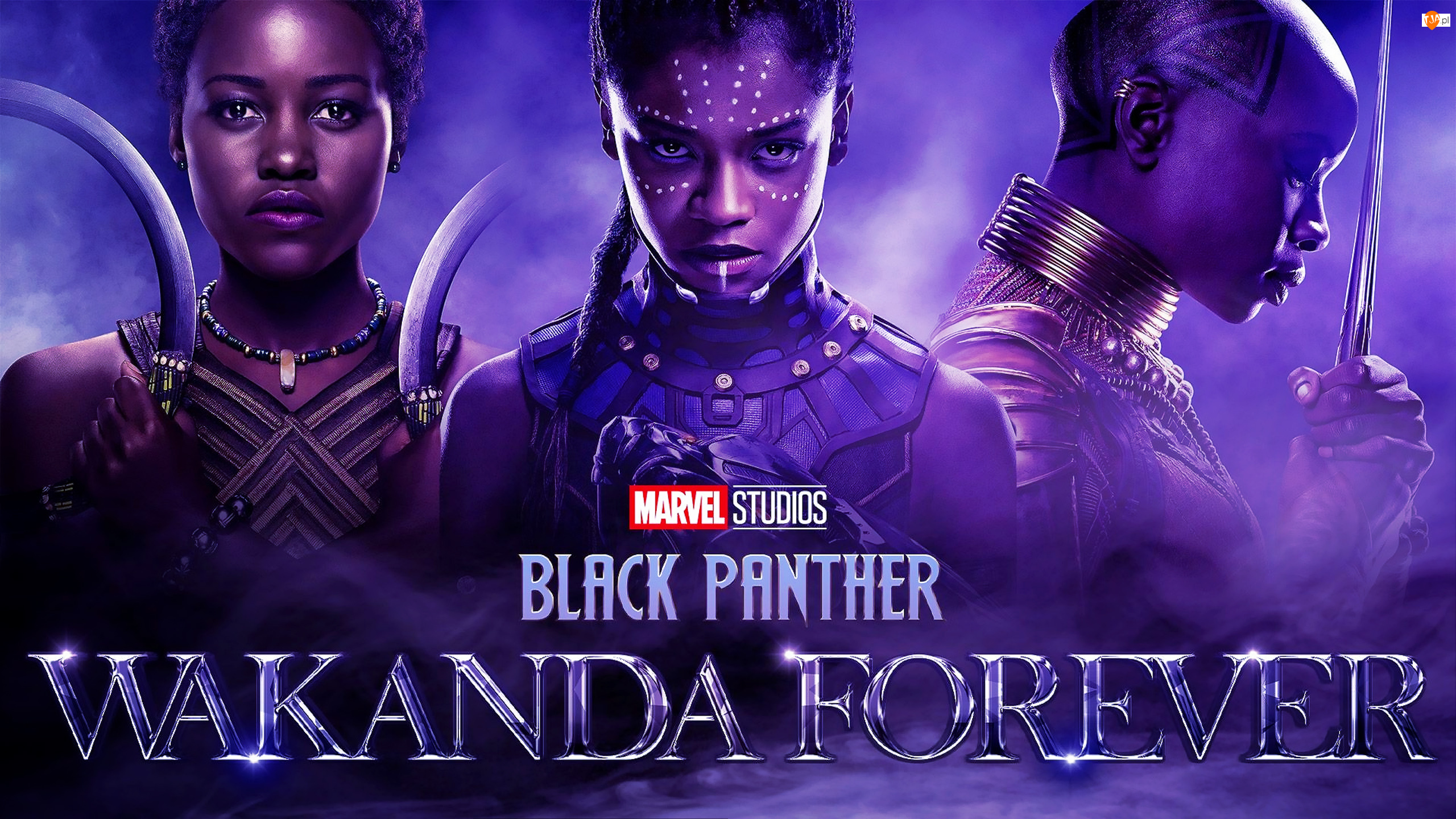 Czarna pantera Wakanda w moim sercu, Plakat, Black Panther Wakanda Forever, Film, Postacie