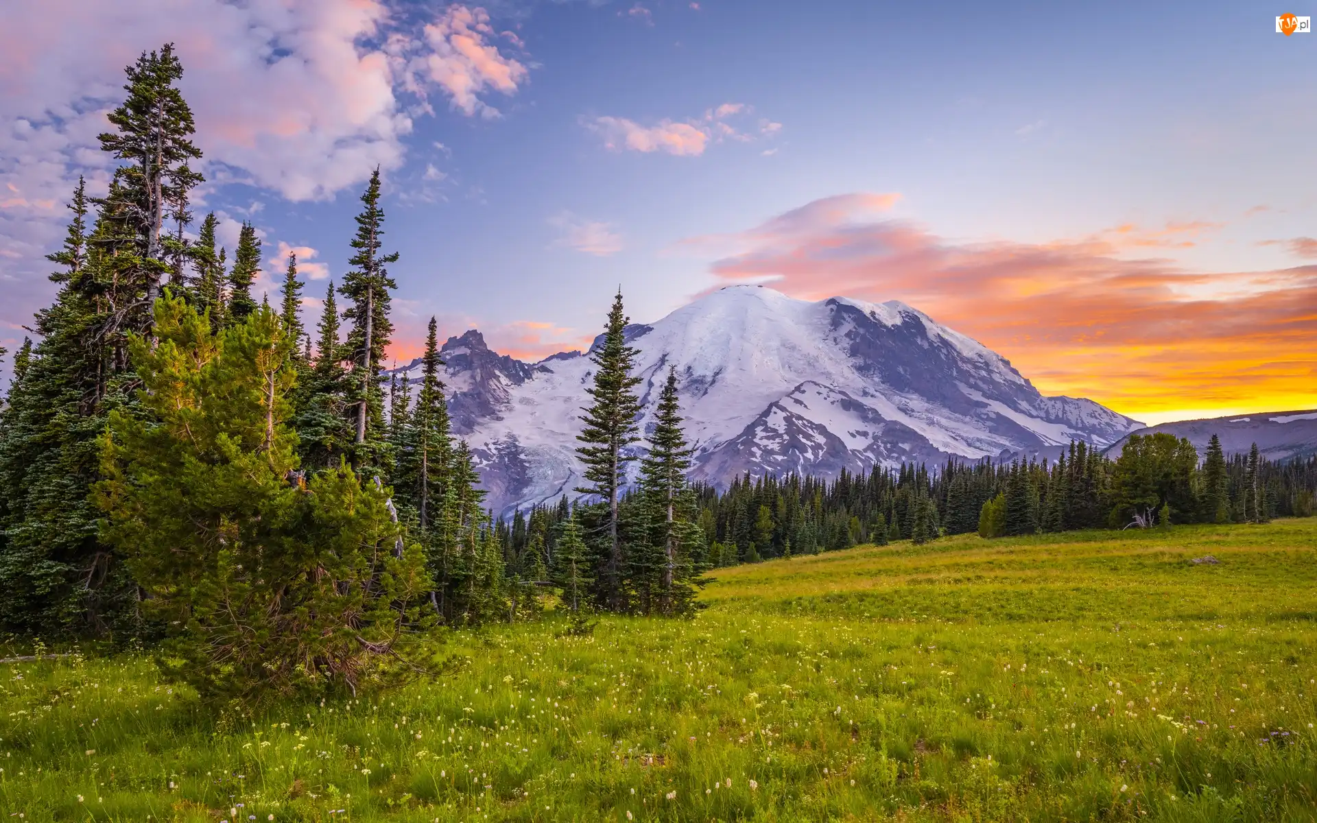 Szczyt Mount Rainier Park Narodowy Mount Rainier 