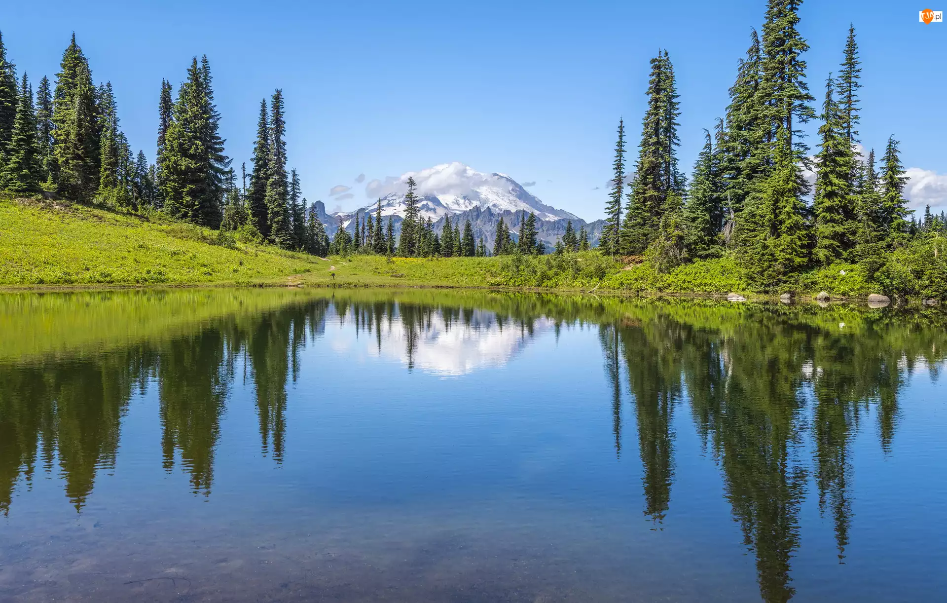 Tipsoo Lake, Góry, Stany Zjednoczone, Jezioro, Stan Waszyngton, Drzewa Park Narodowy Mount Rainier, Odbicie