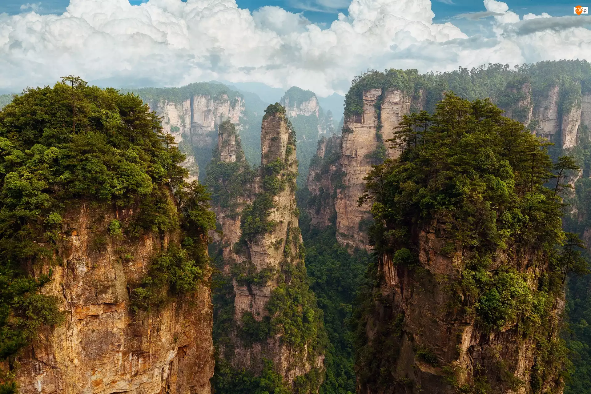 Prowincja Hunan, Chiny, Drzewa, Zhangjiajie National Forest Park, Skały, Góry