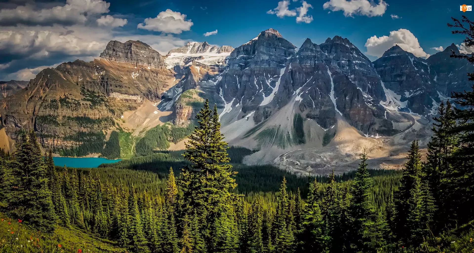 Park Narodowy Banff, Las, Jezioro Moraine, Prowincja Alberta, Drzewa, Dolina Dziesięciu Szczytów, Kanada, Kanadyjskie Góry Skaliste