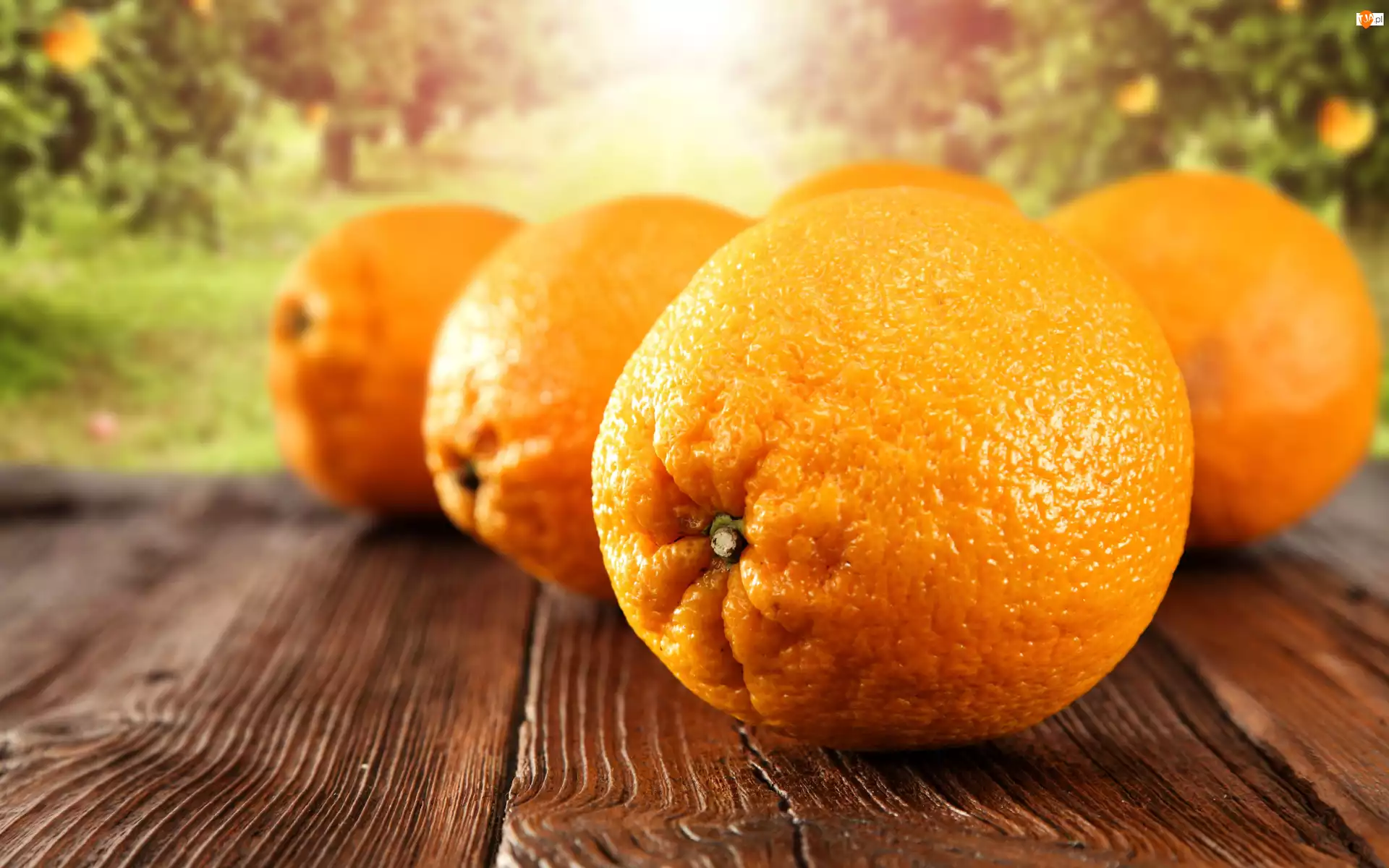 Deski, Pomarańcze