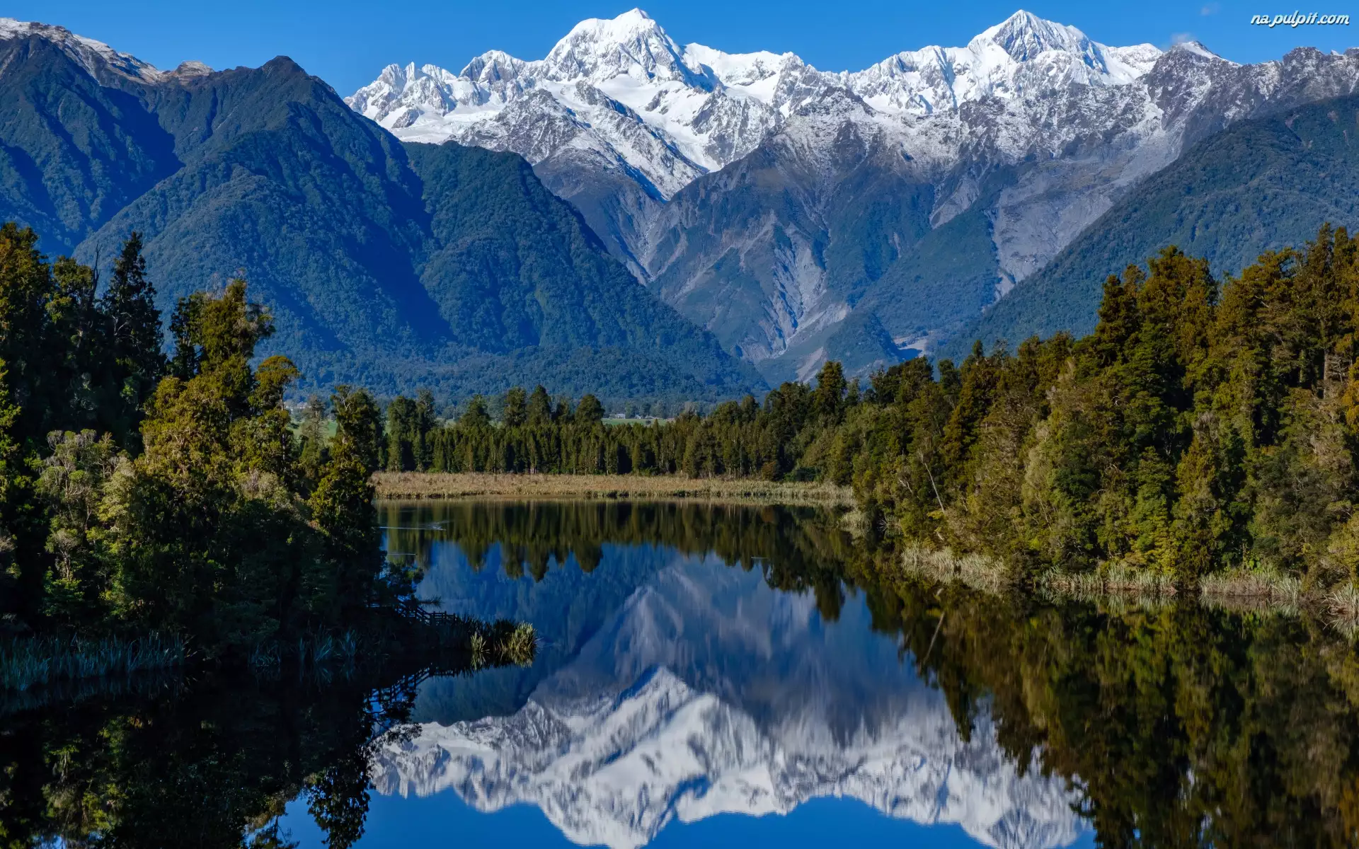 Góry, Jezioro, Nowa Zelandia, Las, Alpy Południowe, Jezioro Matheson, Odbicie