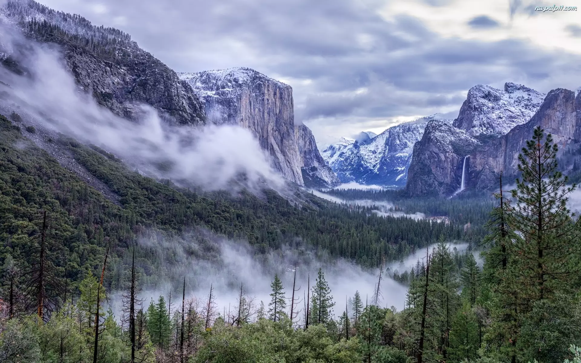 Lasy, Stany Zjednoczone, Góry, Drzewa, Kalifornia, Wodospad, Mgła, Park Narodowy Yosemite