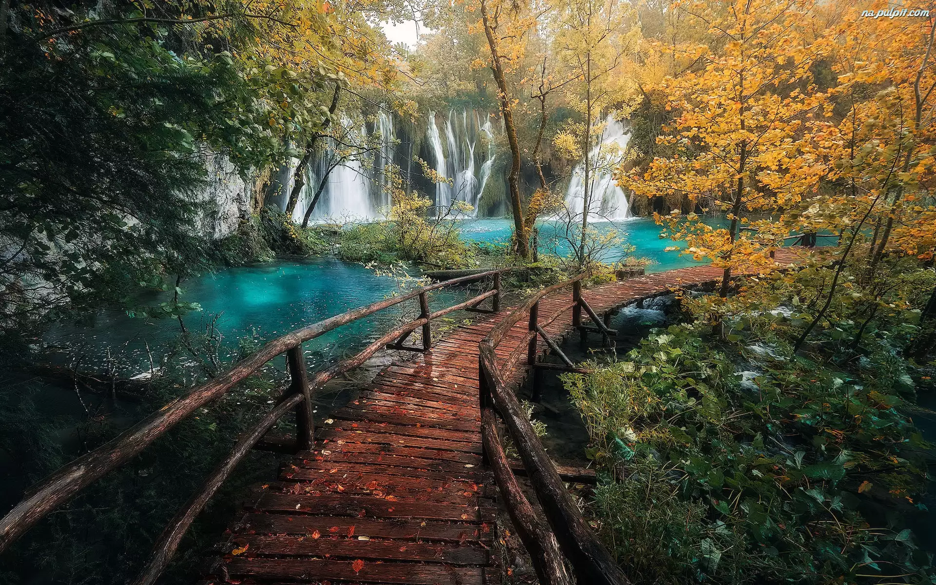 Jesień, Chorwacja, Wodospady, Kładka, Plitvice, Drzewa, Pomost, Park Narodowy Jezior Plitwickich
