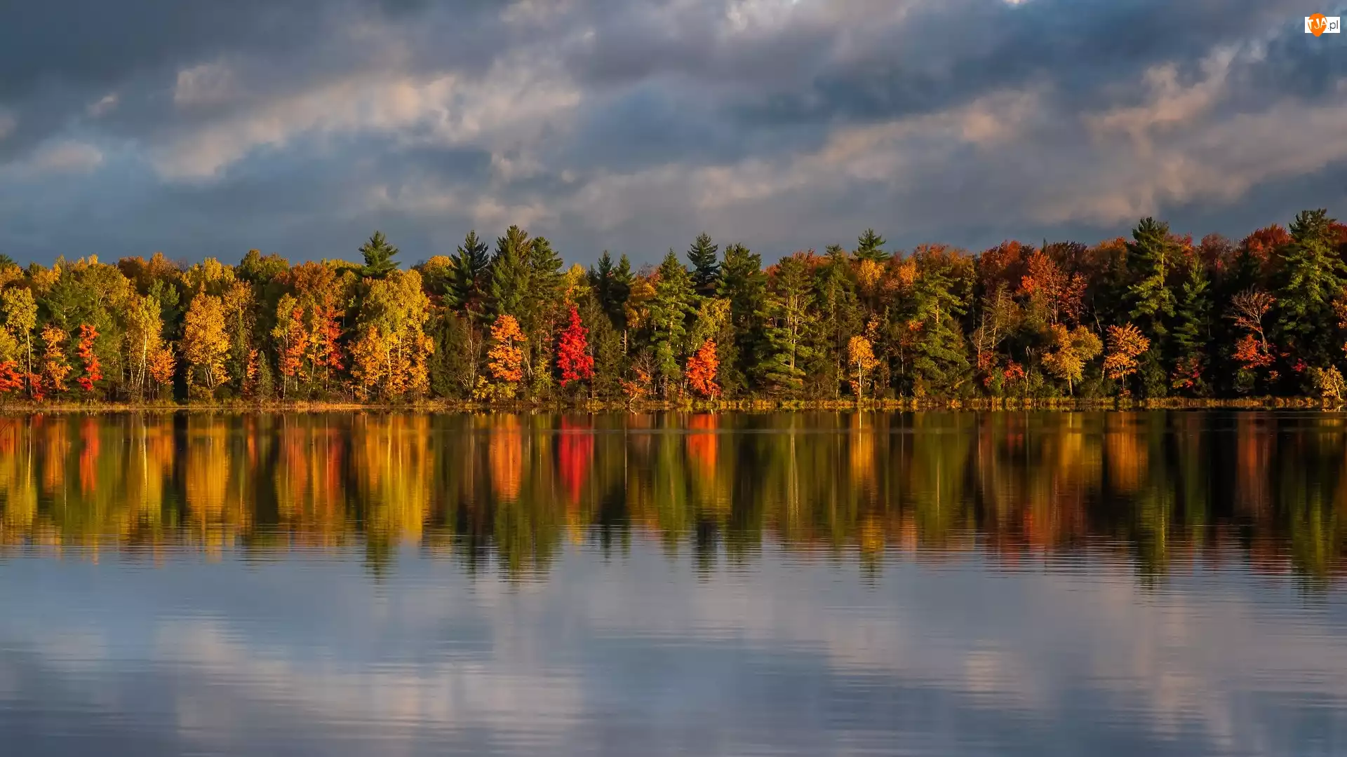 Jezioro, Jesień, Drzewa, Odbicie, Kolorowe, Las