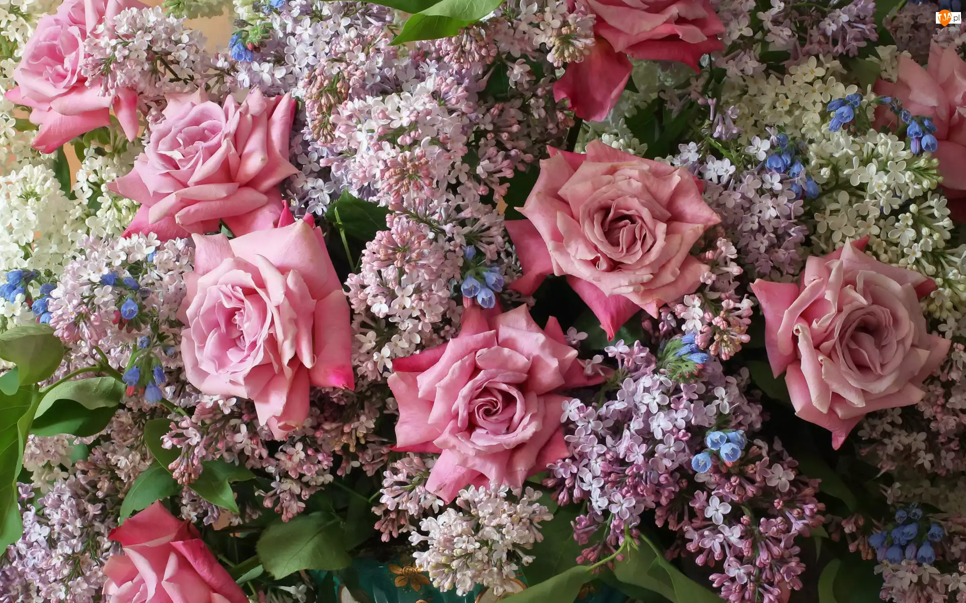 Kwiaty, Bukiet, Lilak, Różowe, Bez, Róże